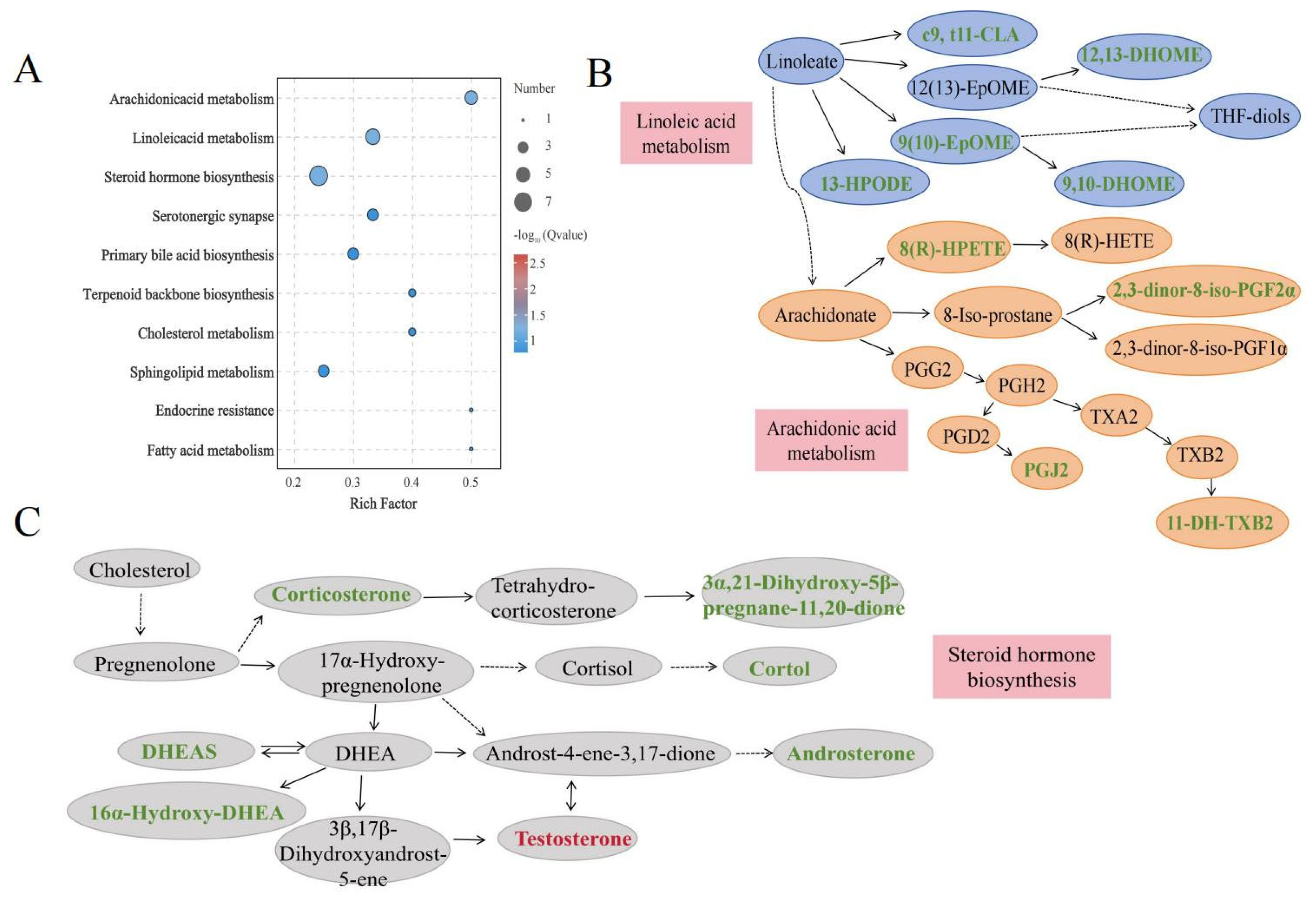 Animals 15 01435 g004