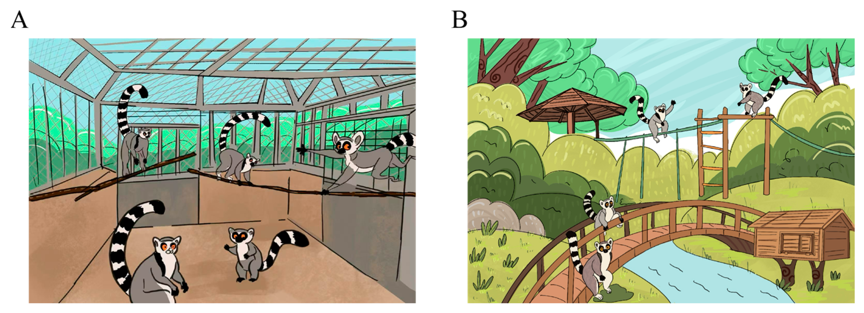 Animals 15 01442 g001