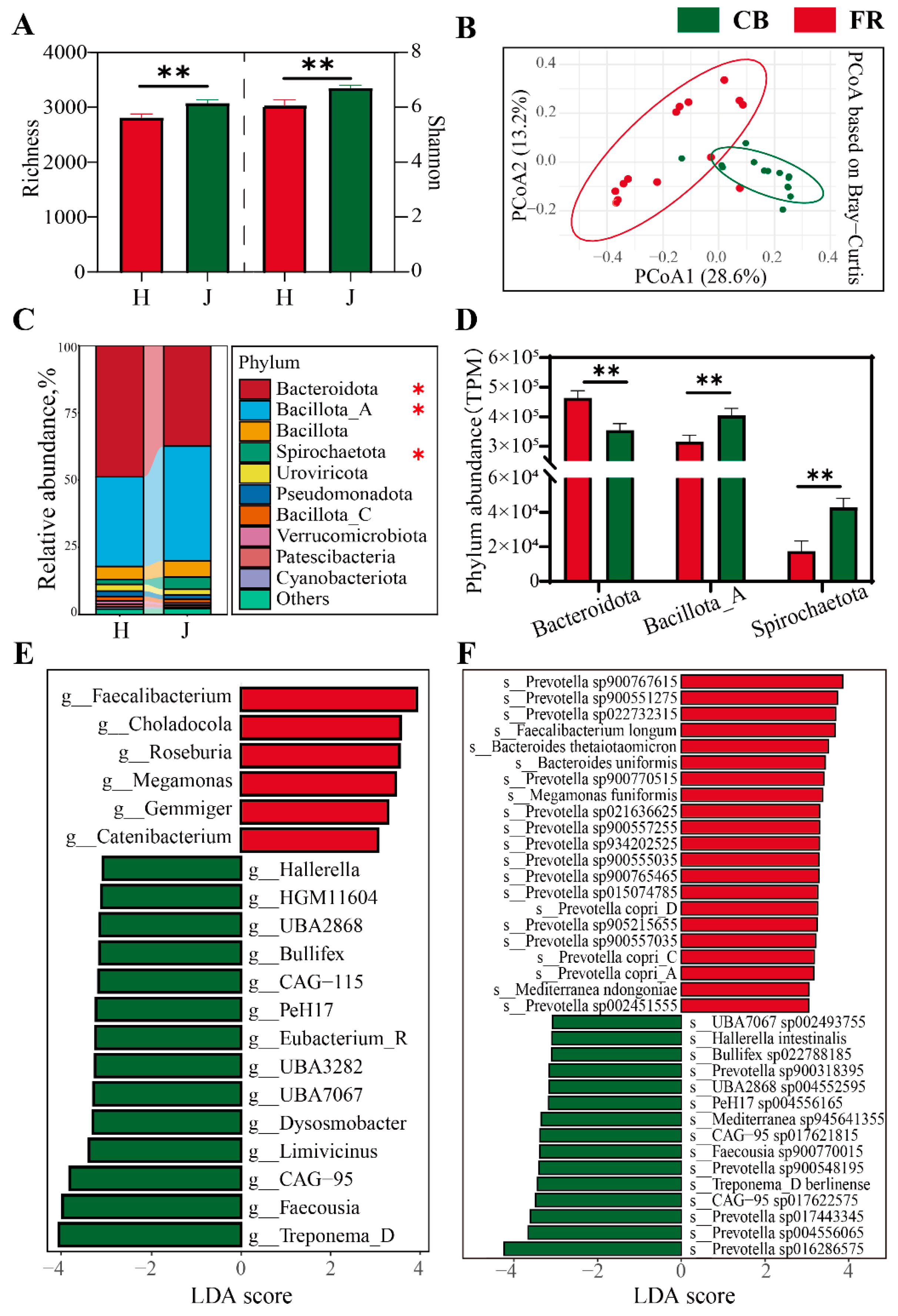 Animals 15 01442 g004