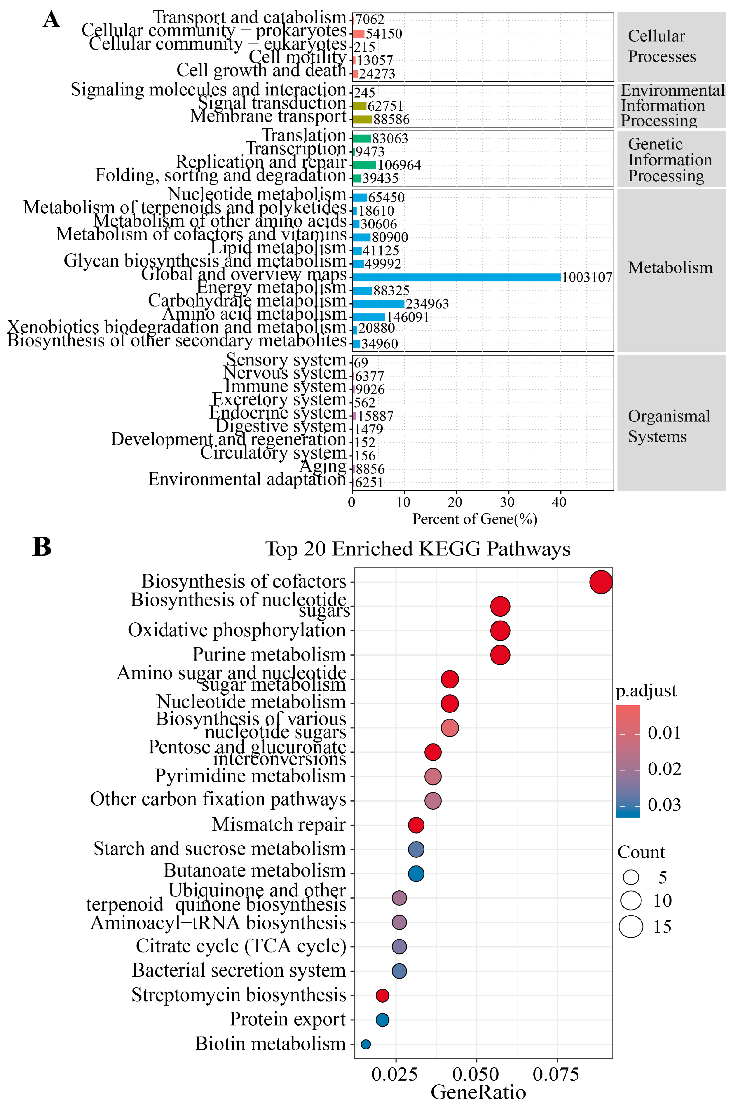Animals 15 01442 g005