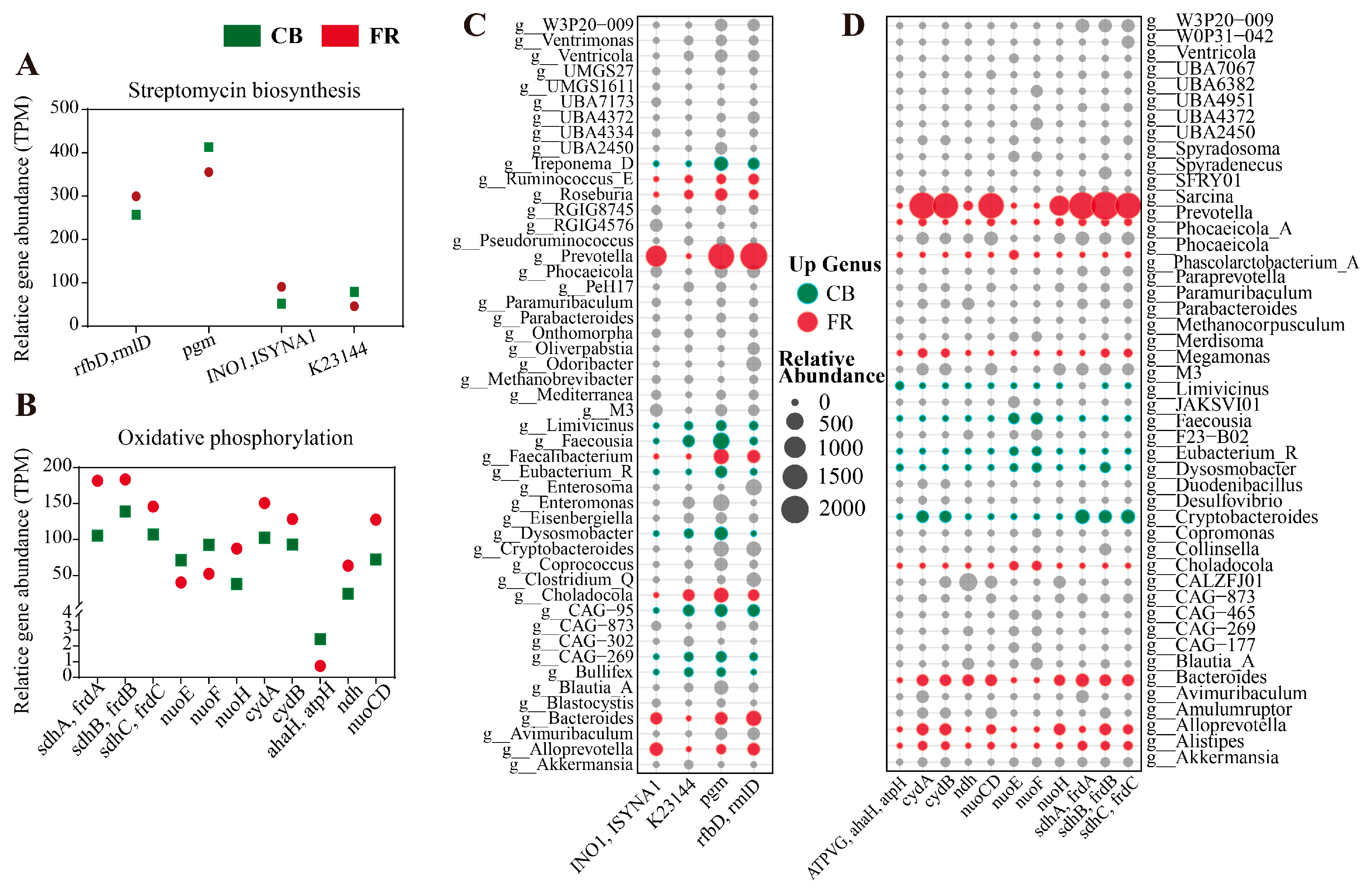 Animals 15 01442 g006