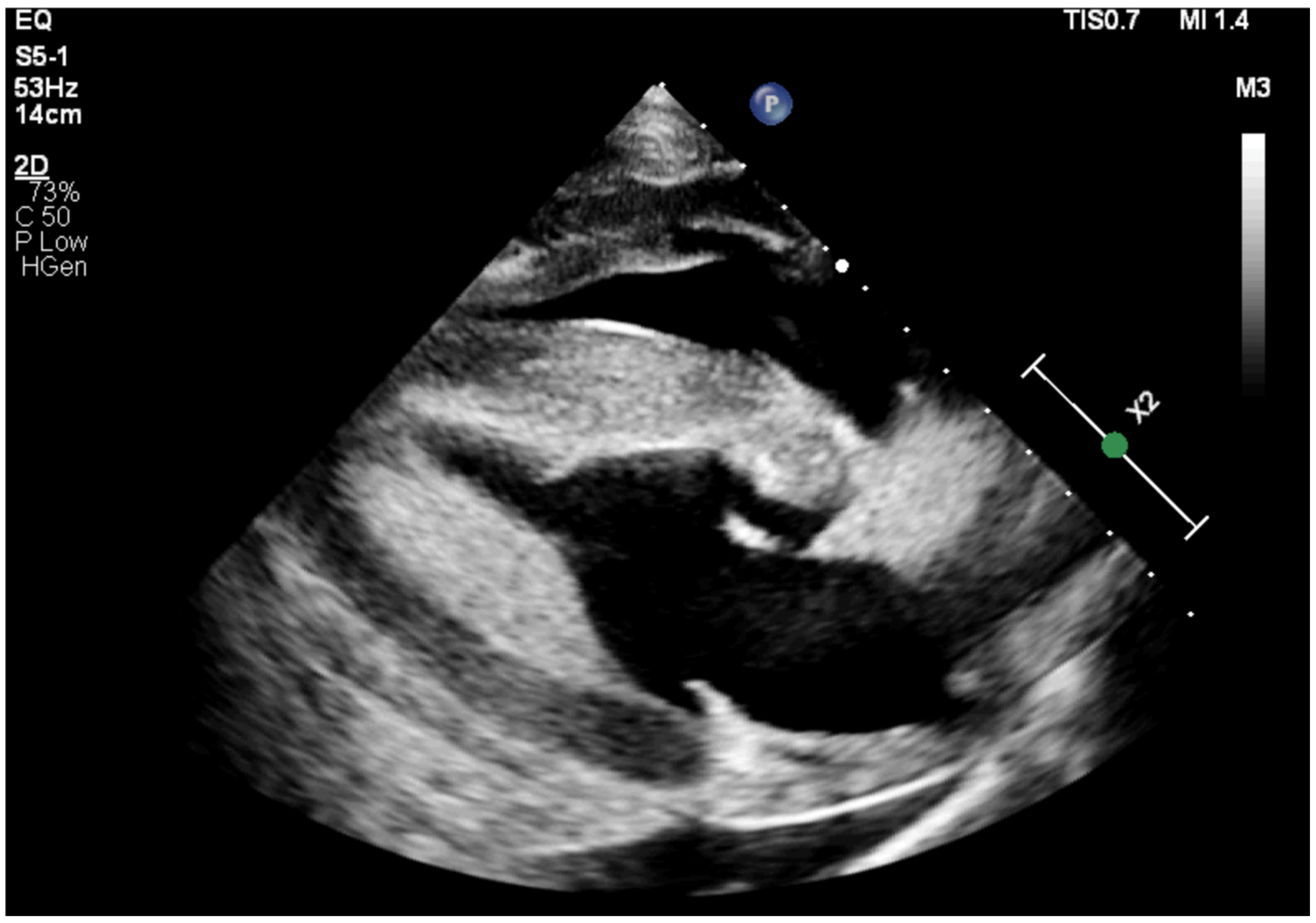 Animals 15 01447 g001