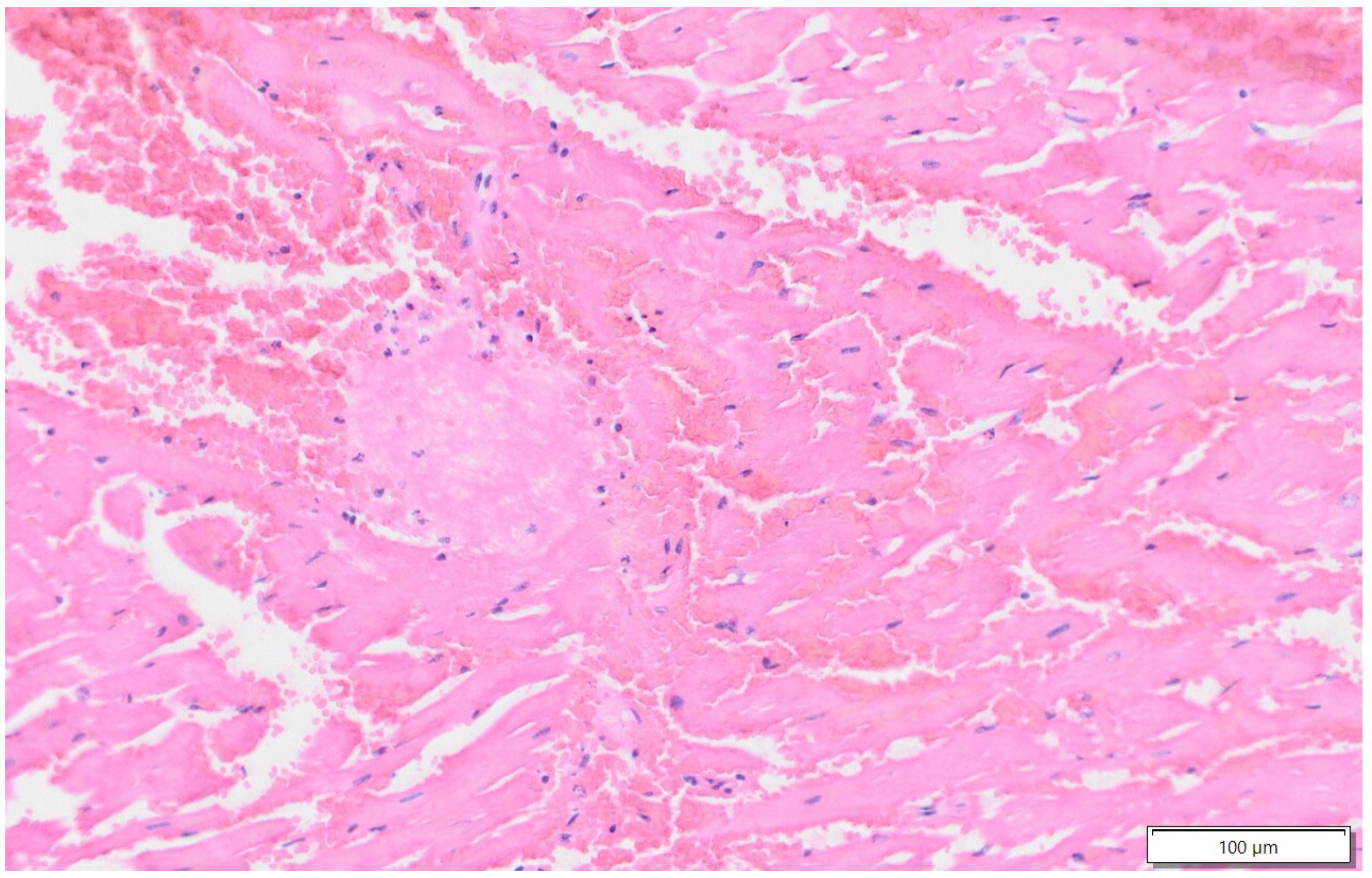 Animals 15 01447 g003