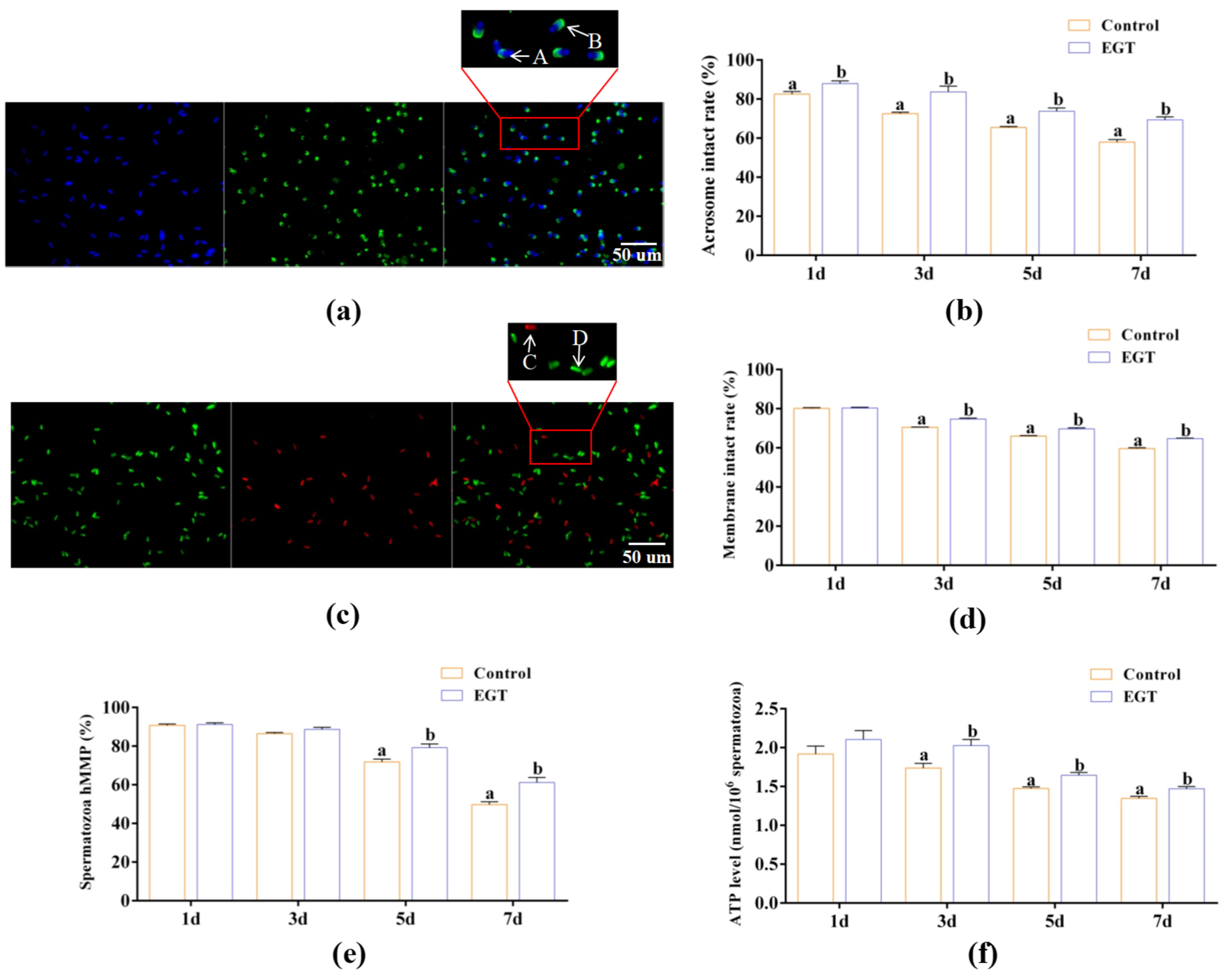 Animals 15 01450 g001