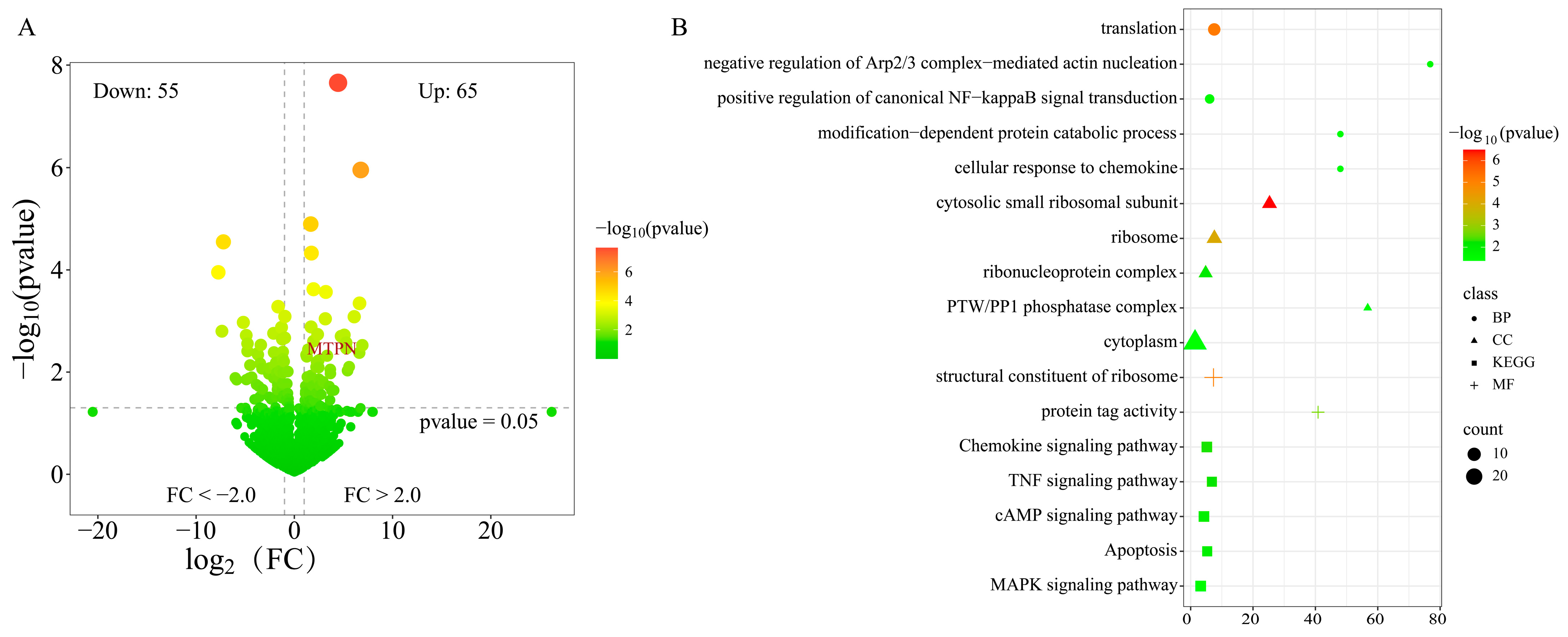 Animals 15 01458 g003 Animals 15 01458 g003