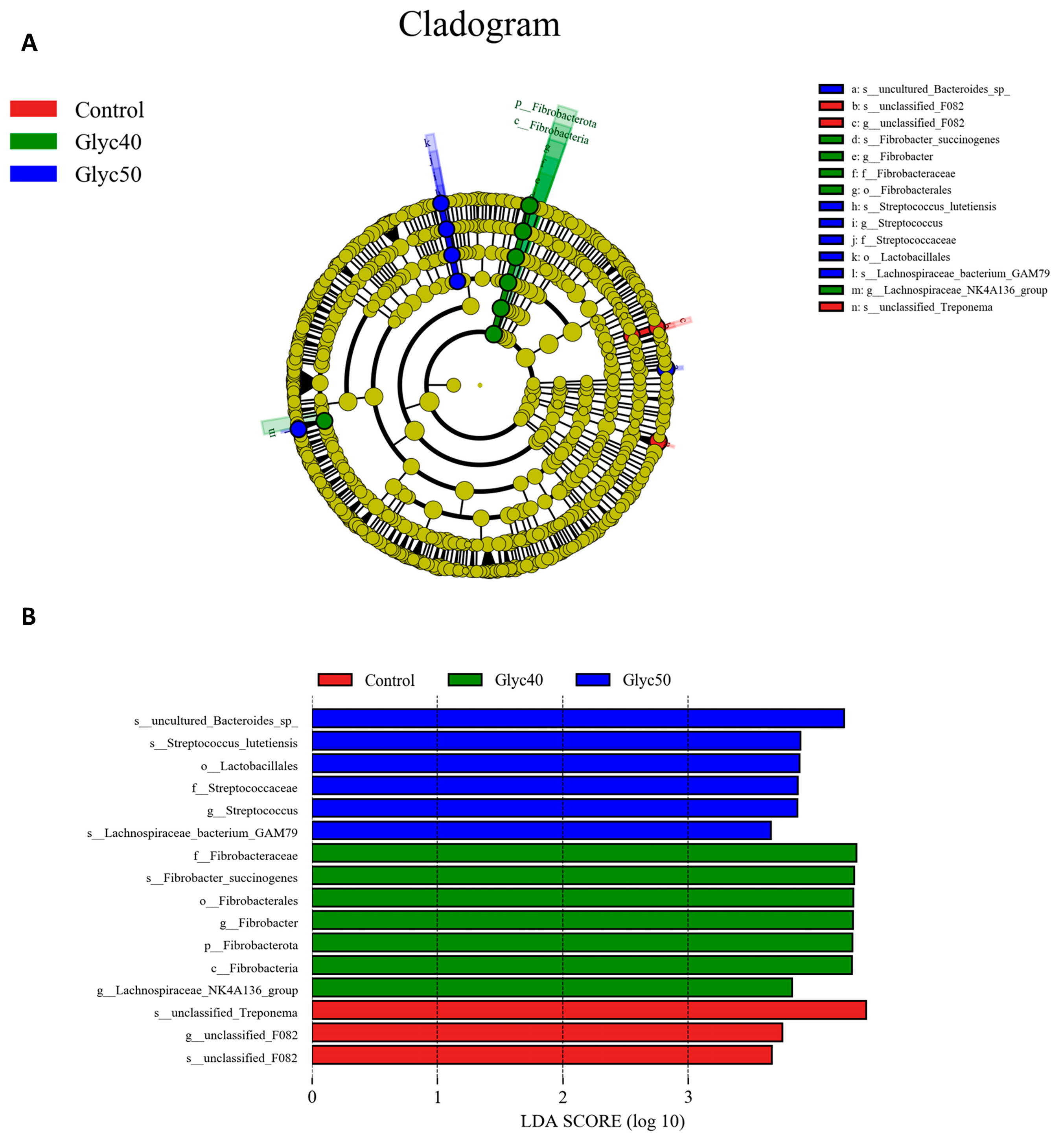 Animals 15 01459 g003