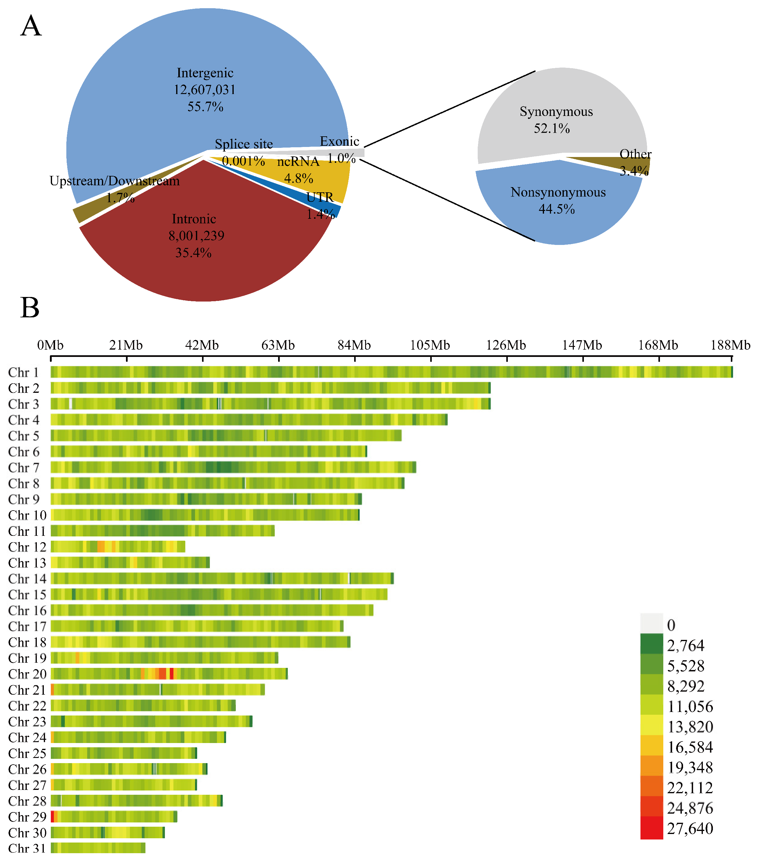 Animals 15 01462 g001