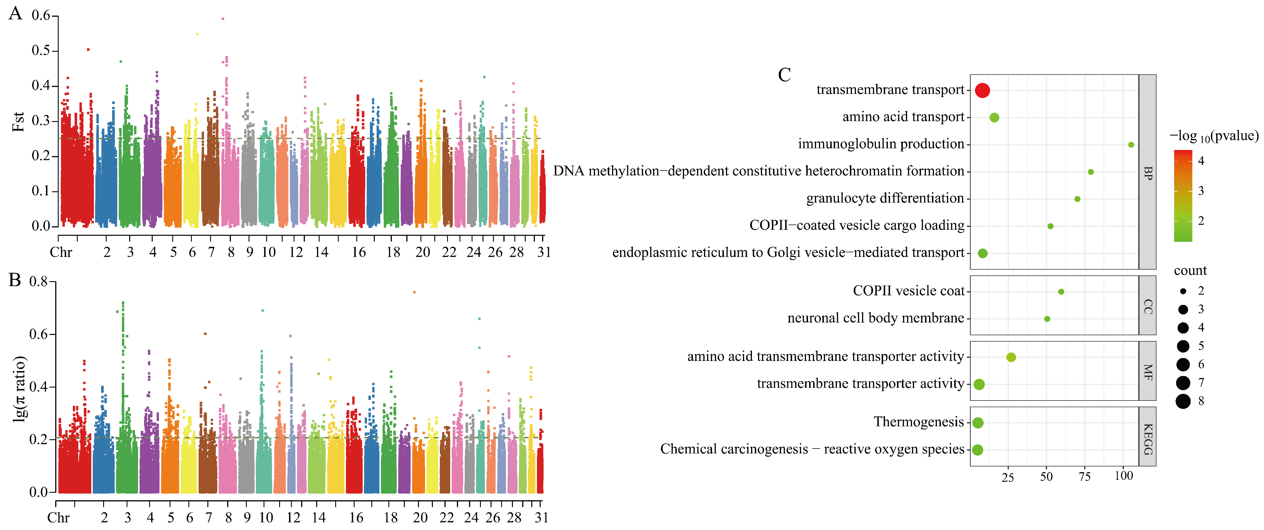 Animals 15 01462 g003