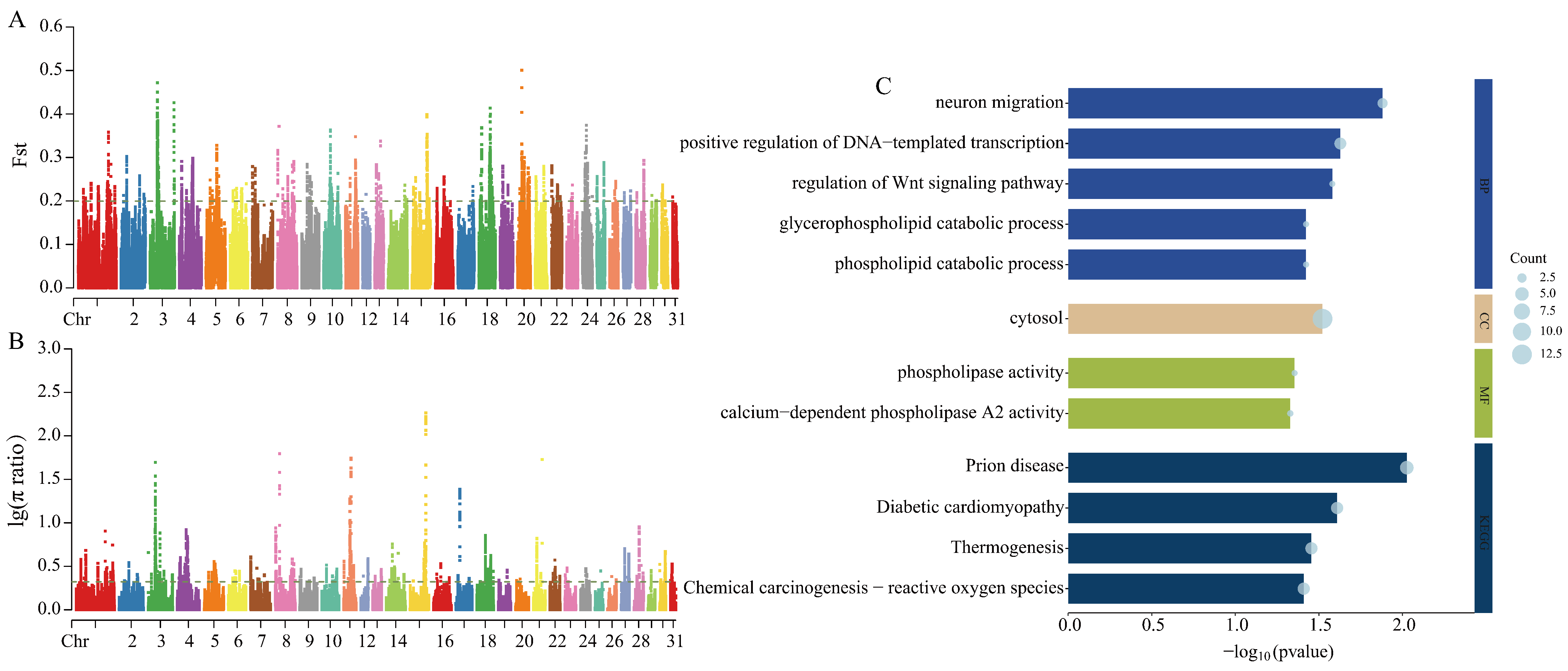 Animals 15 01462 g004