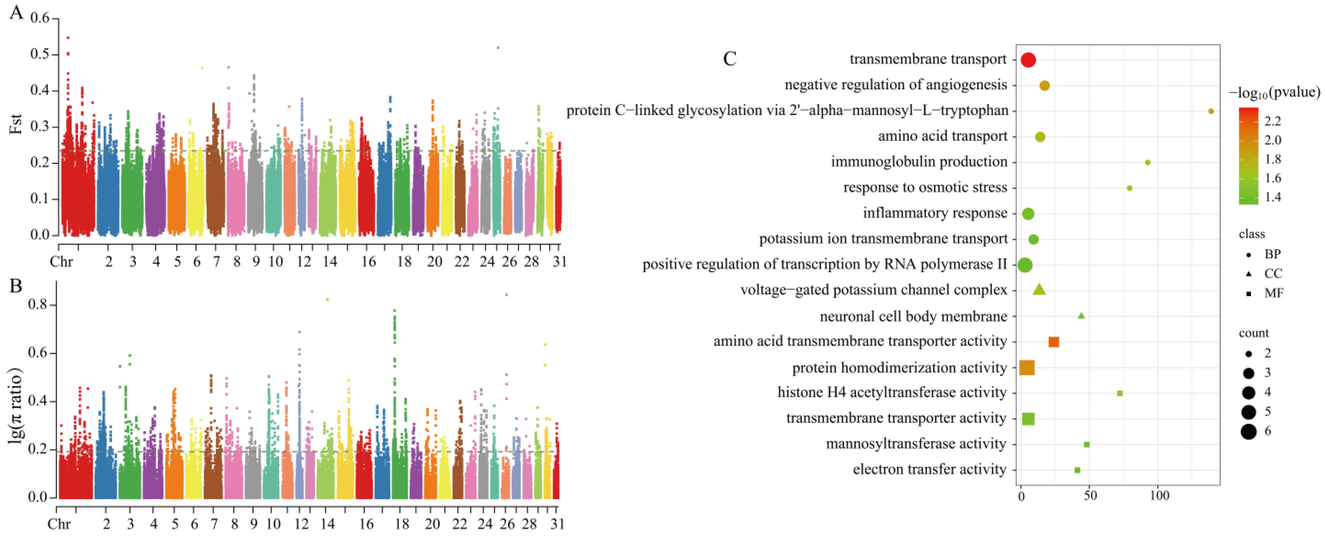Animals 15 01462 g005