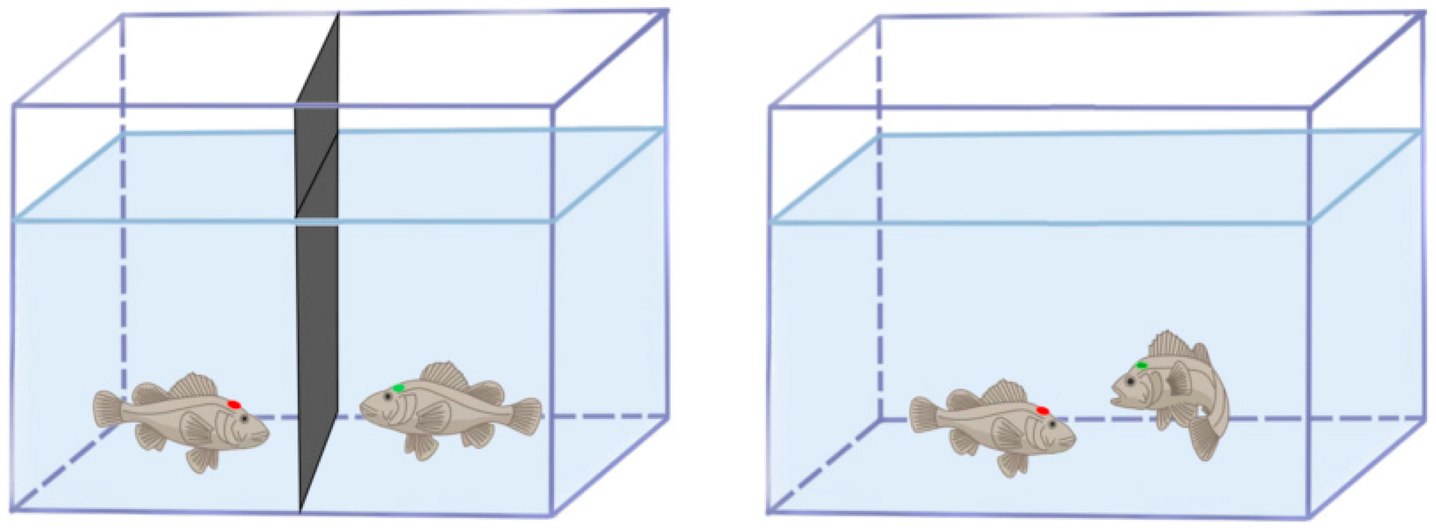 Animals 15 01463 g001