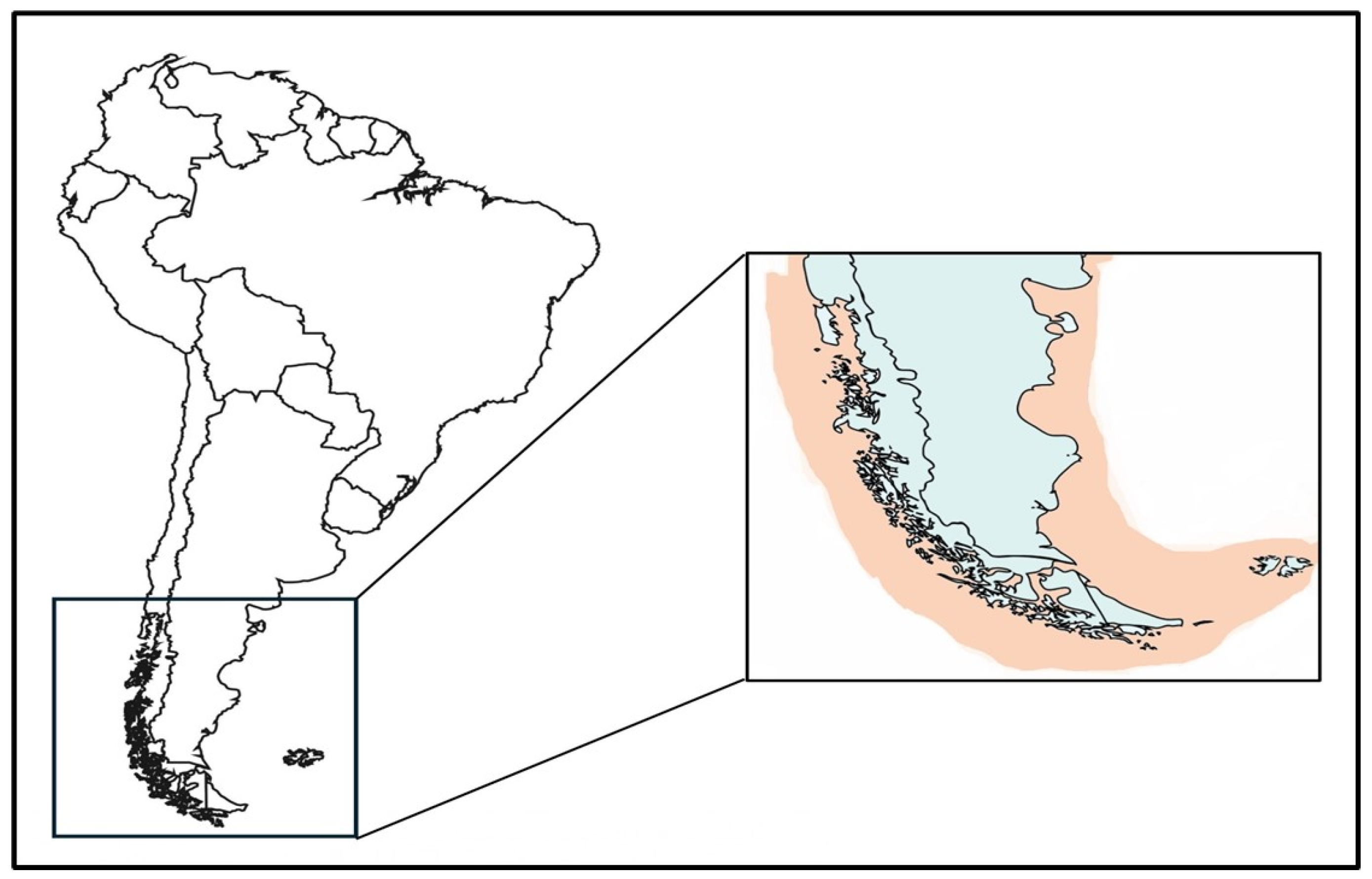 Animals 15 01464 g001 Animals 15 01464 g001