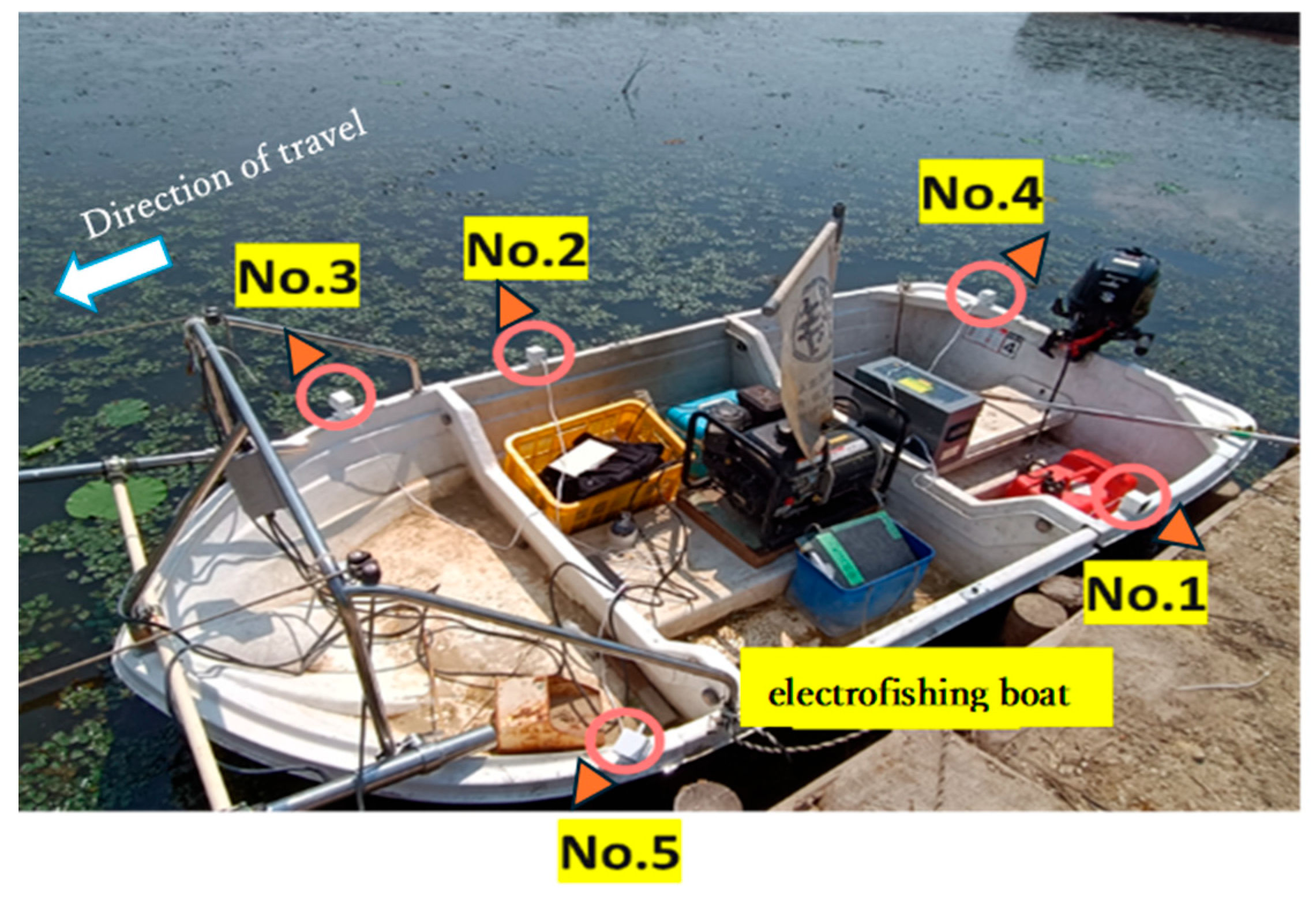 Animals 15 01466 g001