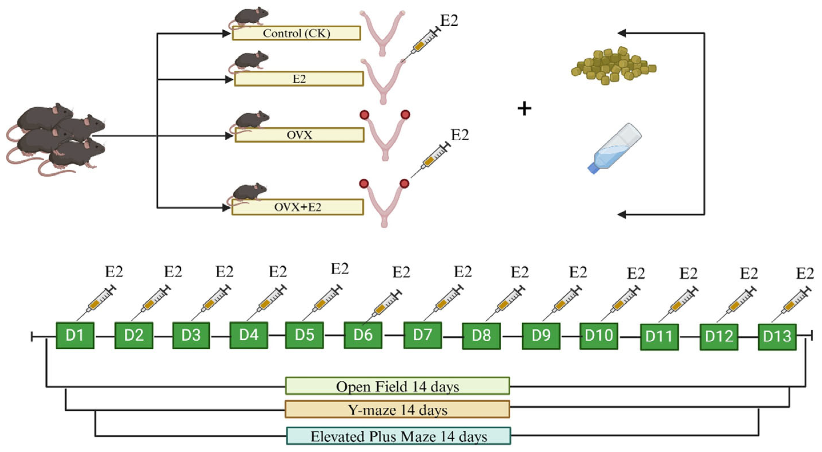 Animals 15 01467 g001 Animals 15 01467 g001