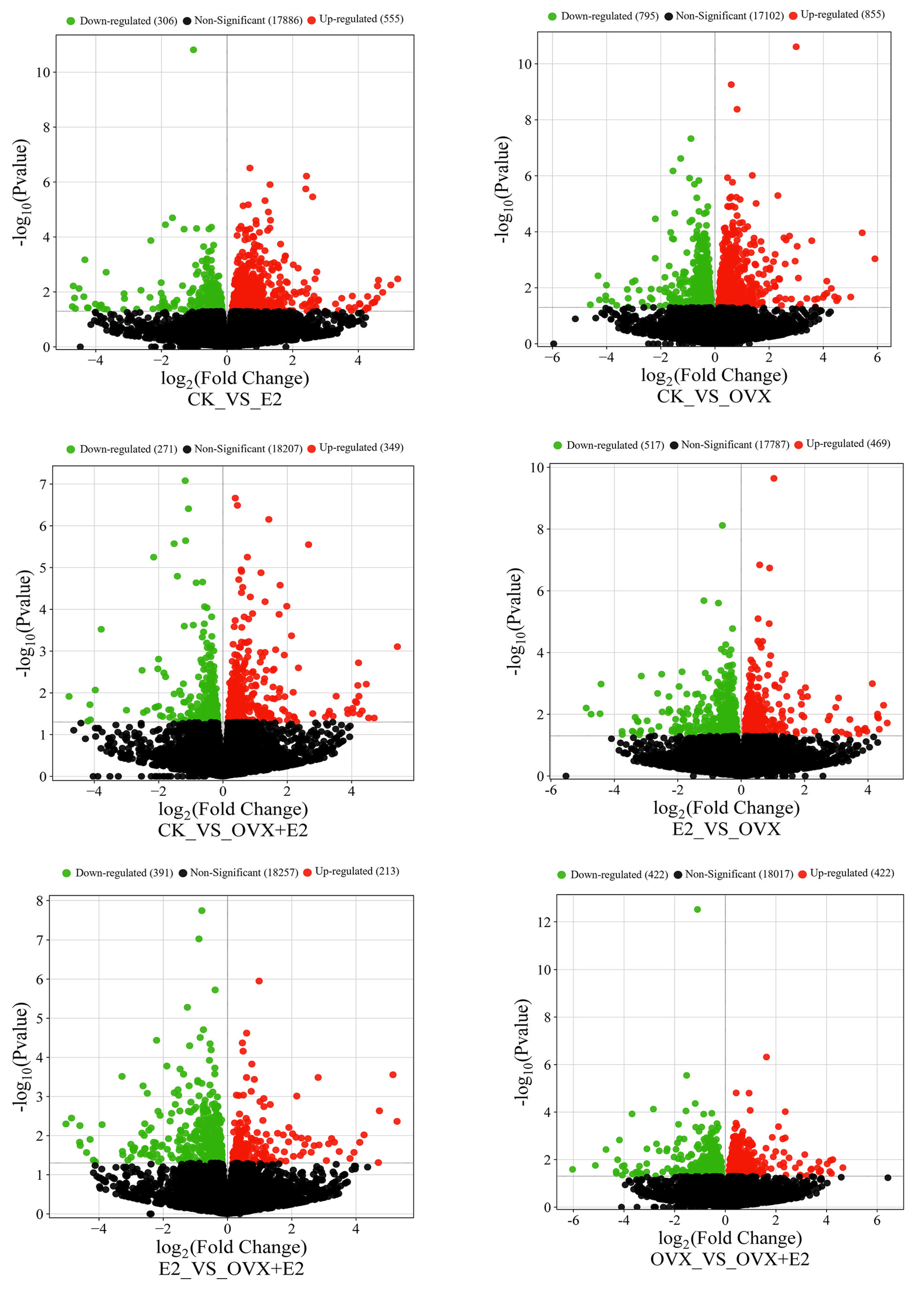 Animals 15 01467 g008 Animals 15 01467 g008