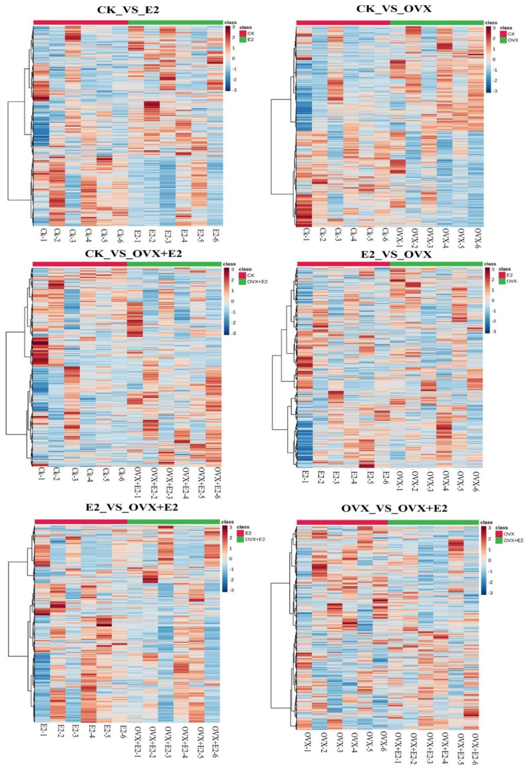 Animals 15 01467 g009 Animals 15 01467 g009