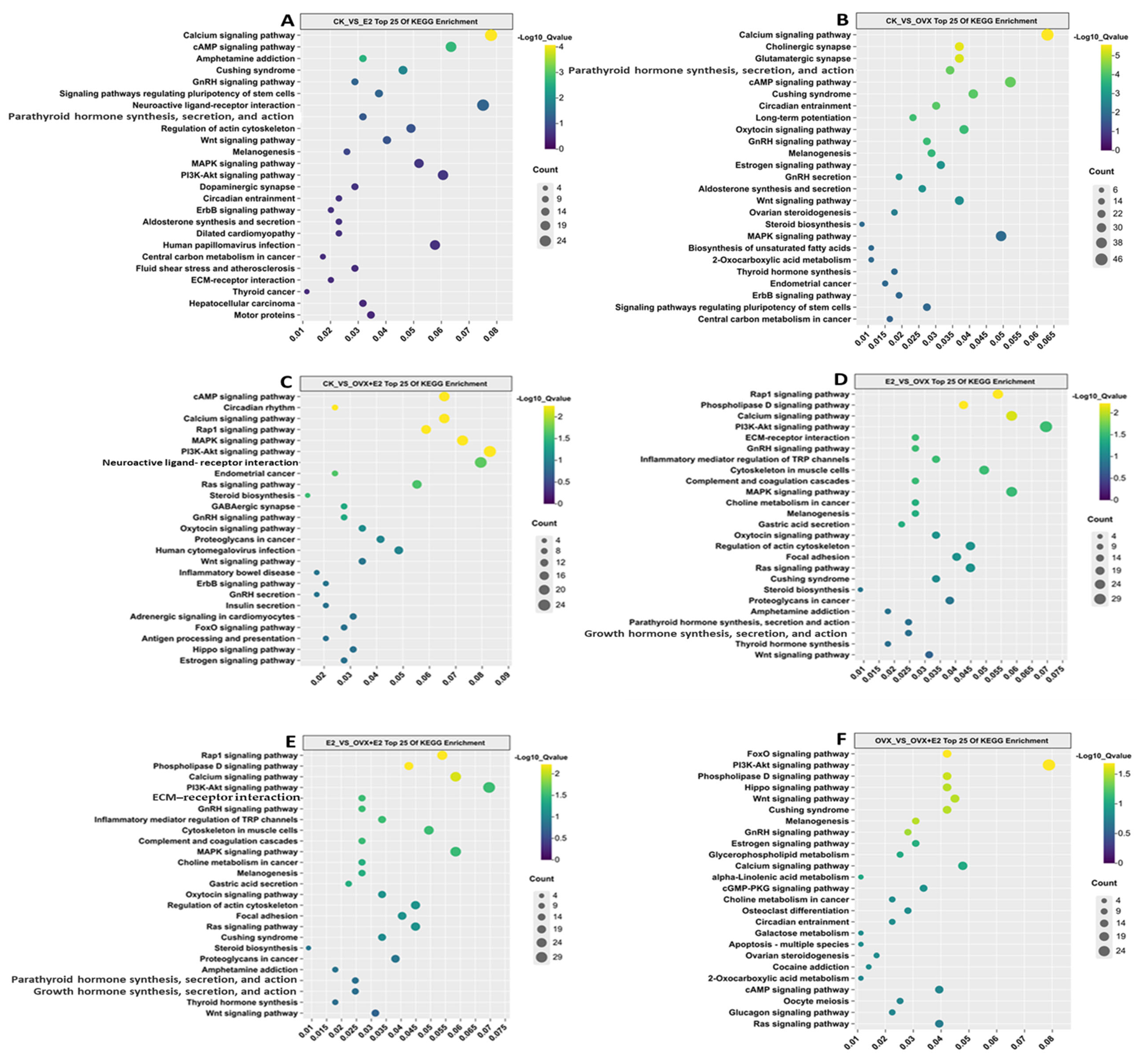 Animals 15 01467 g011 Animals 15 01467 g011