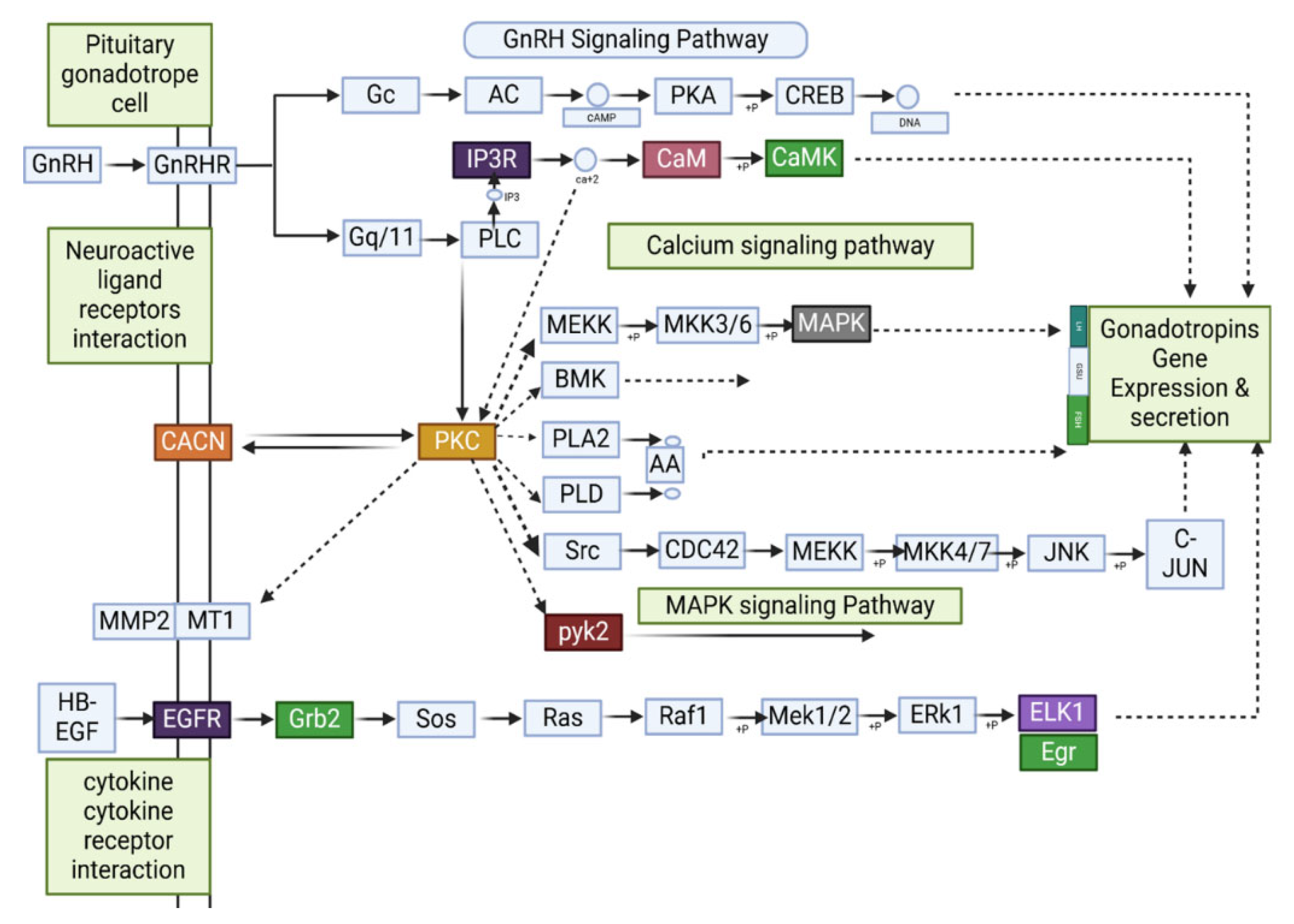 Animals 15 01467 g012 Animals 15 01467 g012