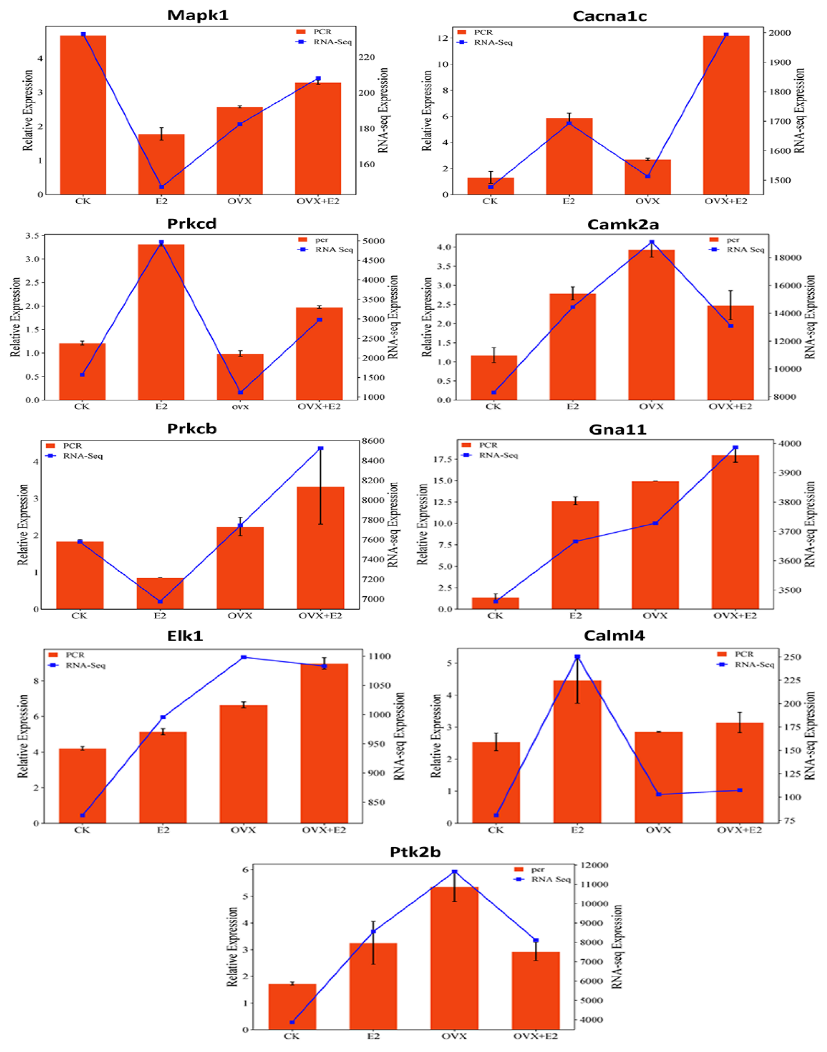 Animals 15 01467 g013 Animals 15 01467 g013