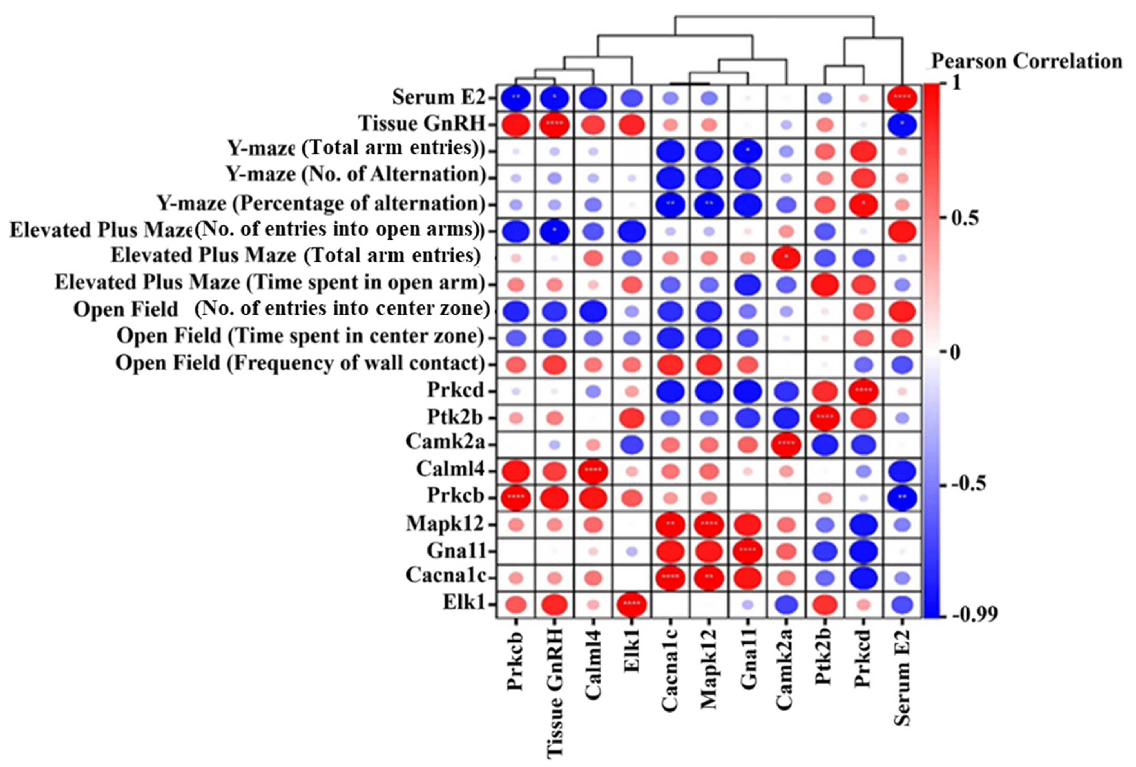 Animals 15 01467 g014 Animals 15 01467 g014