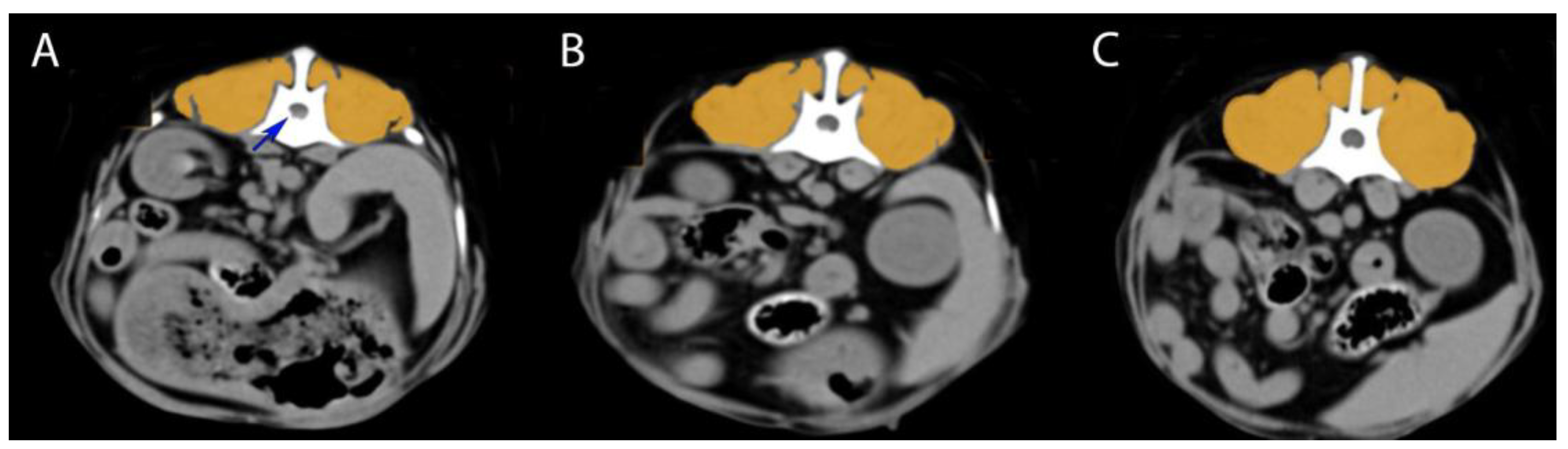 Animals 15 01468 g001