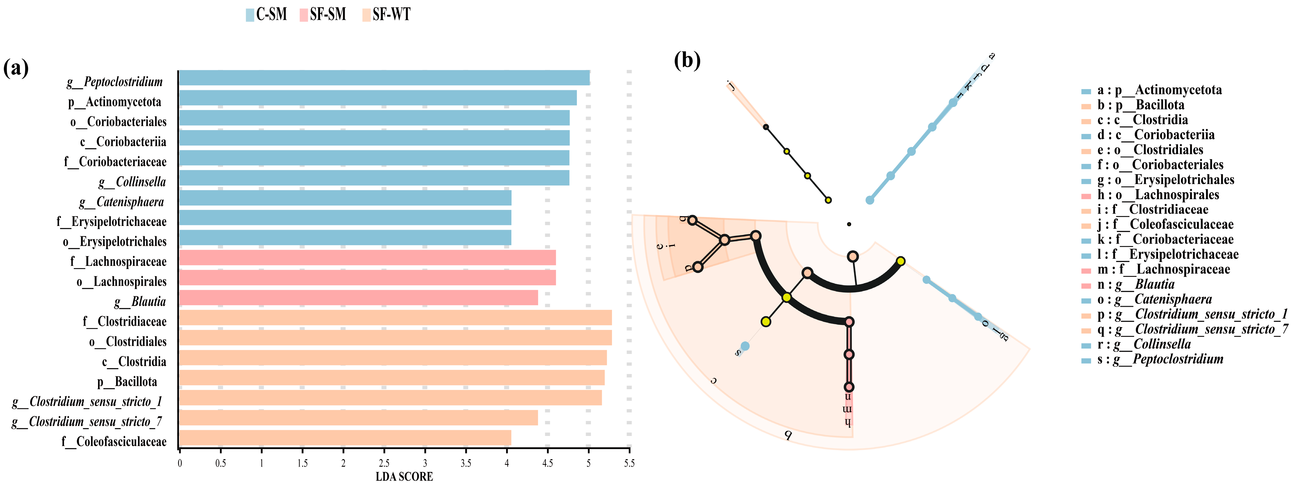 Animals 15 01471 g004