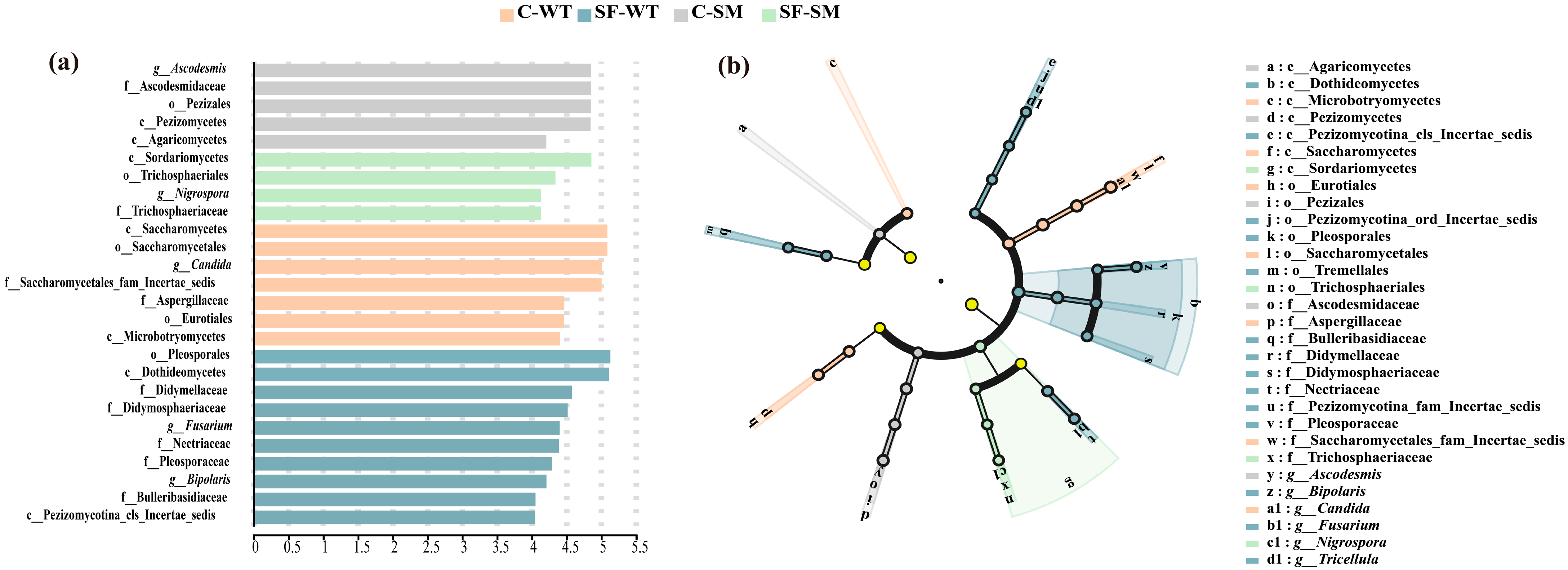 Animals 15 01471 g005