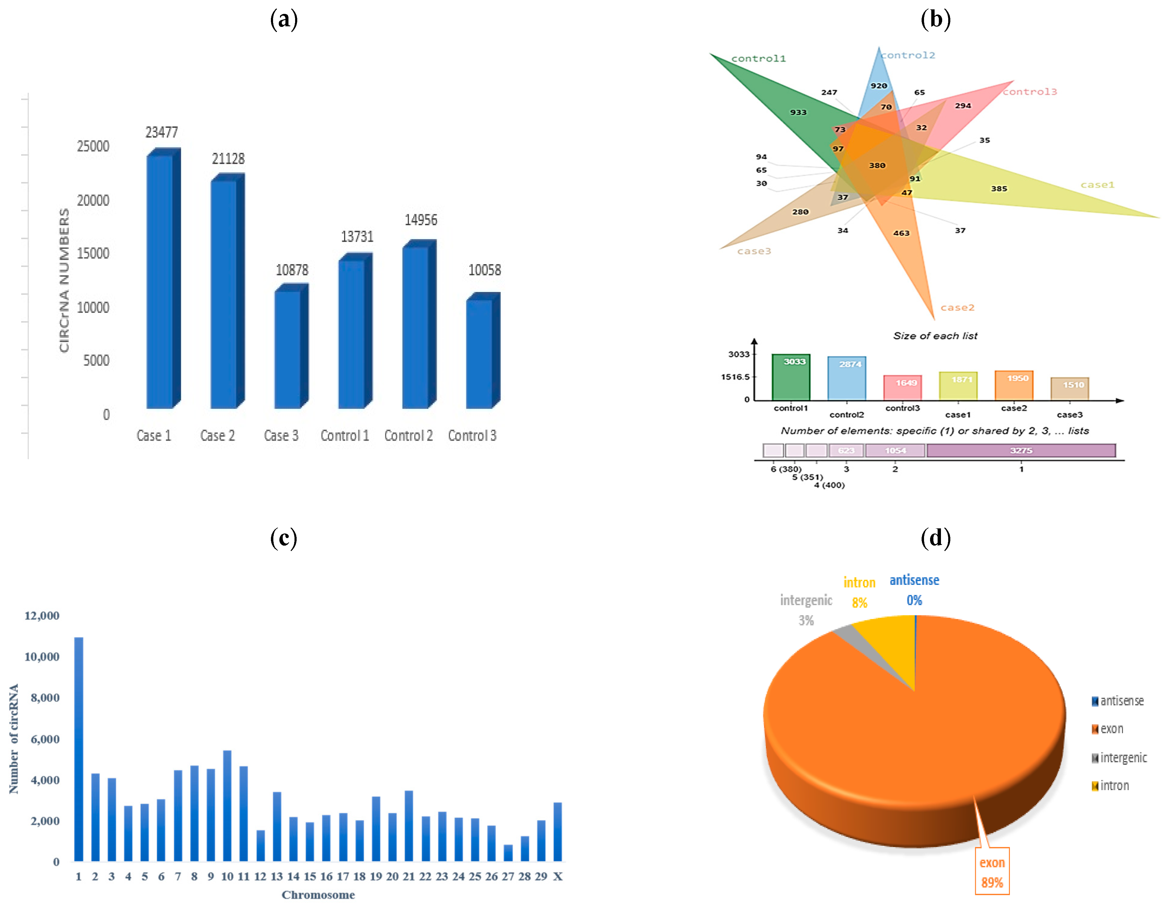 Animals 15 01472 g002