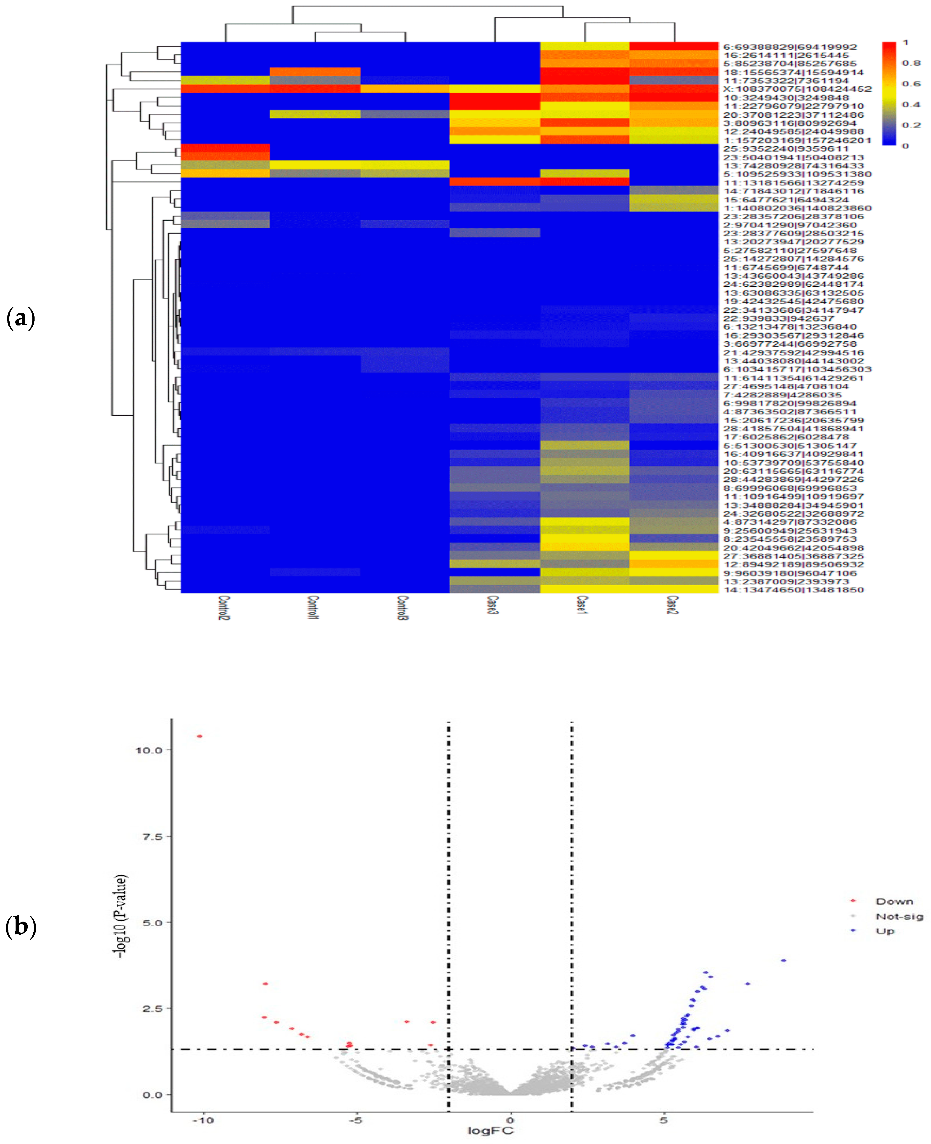 Animals 15 01472 g003