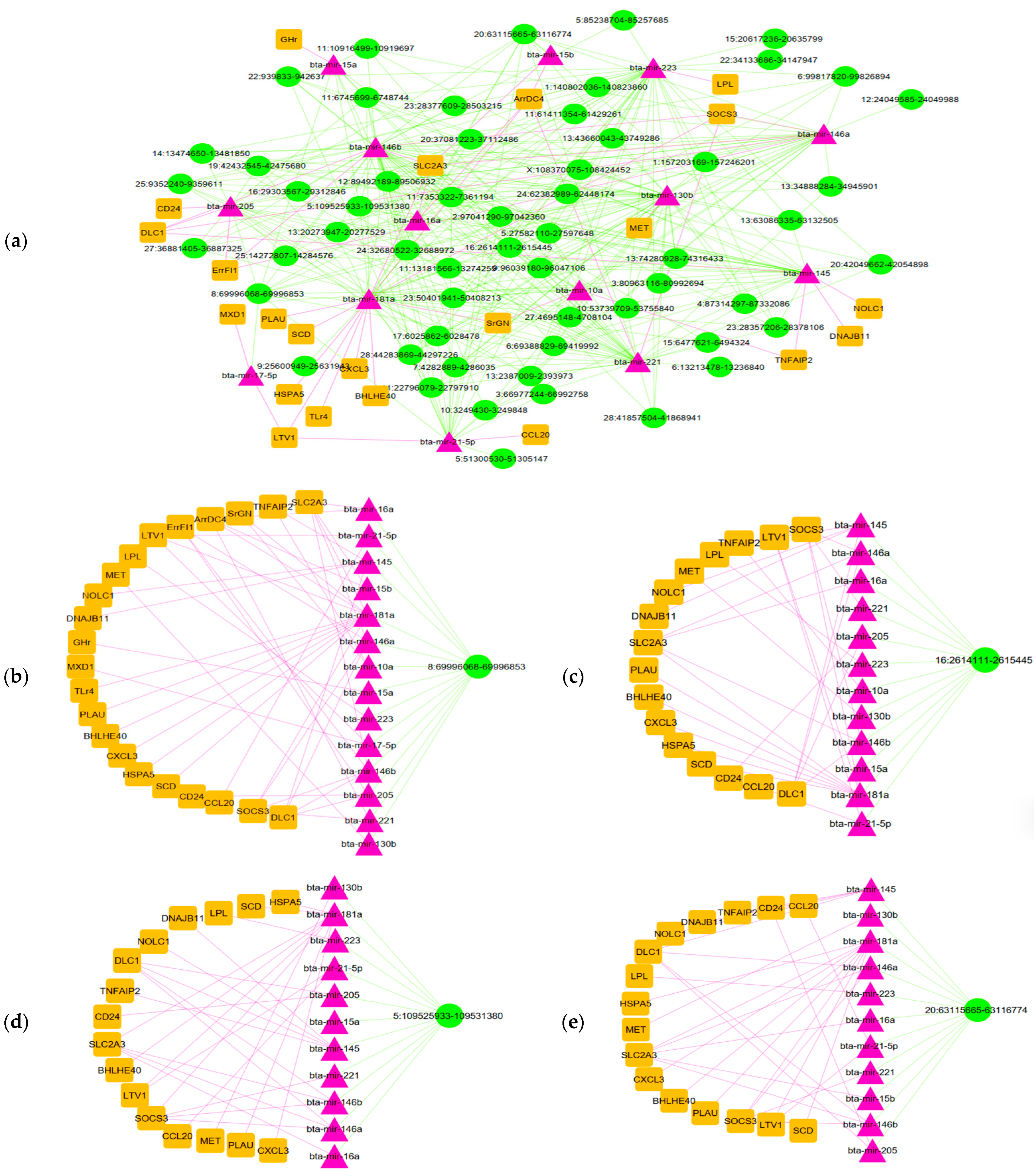 Animals 15 01472 g004