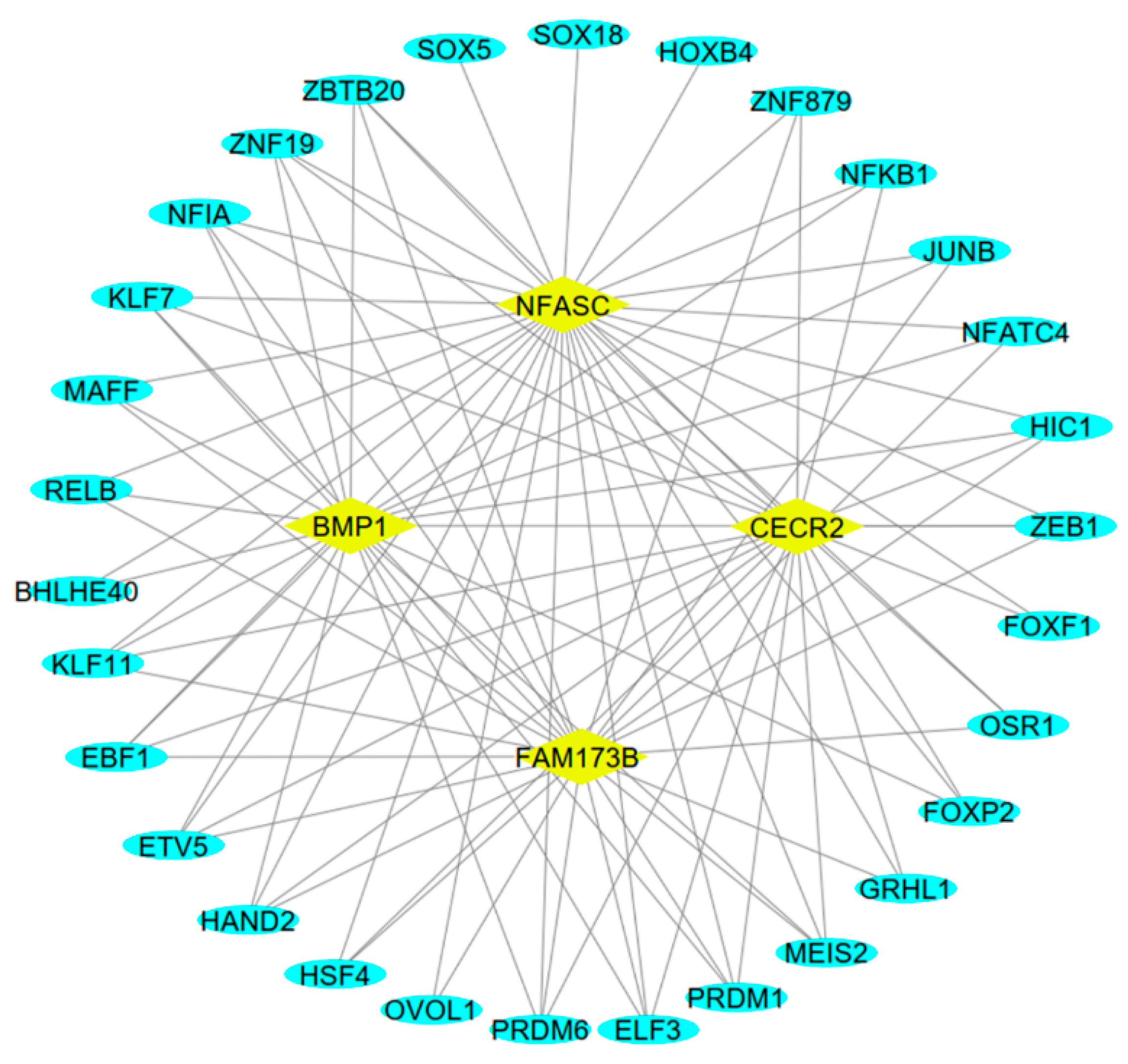 Animals 15 01472 g005