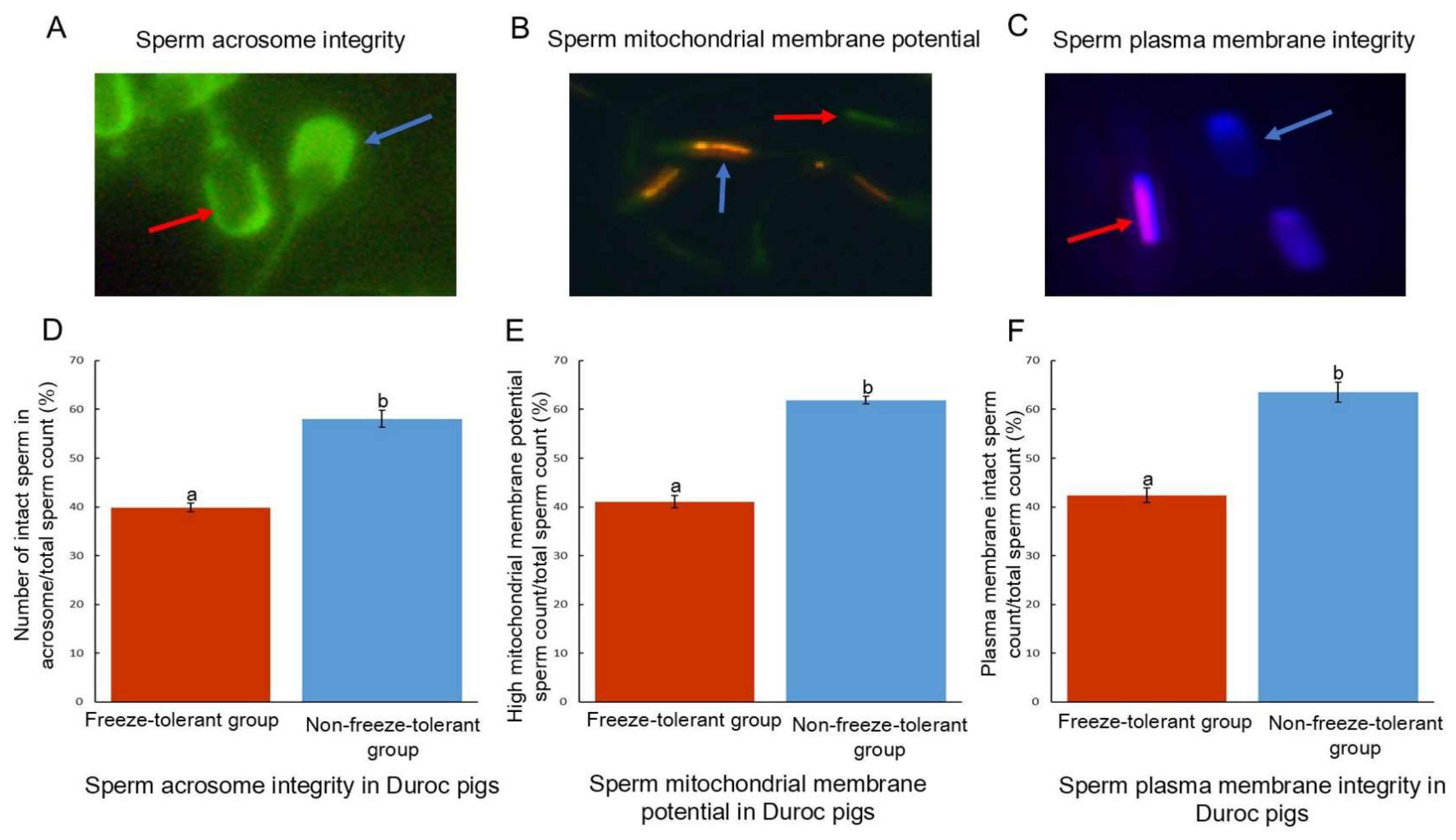 Animals 15 01474 g002