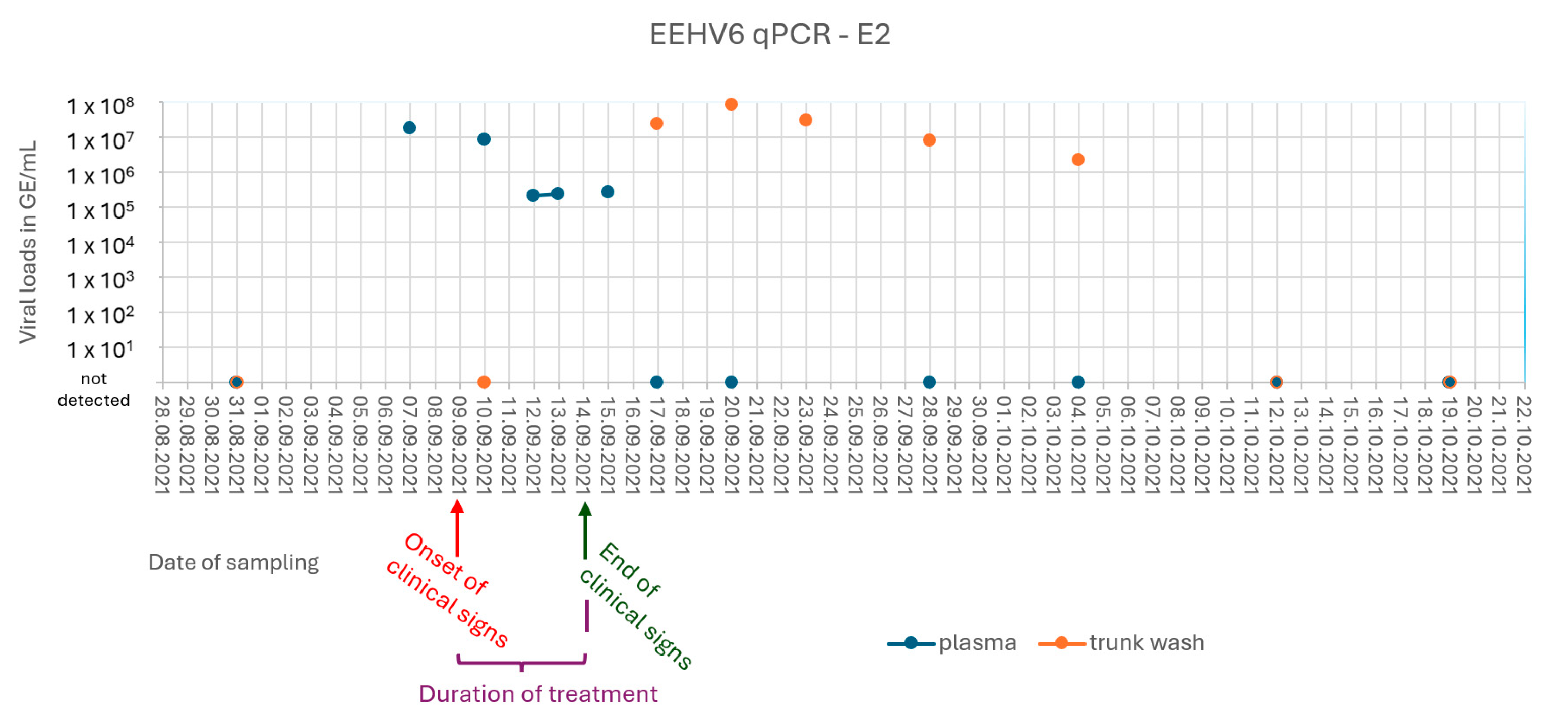 Animals 15 01482 g001