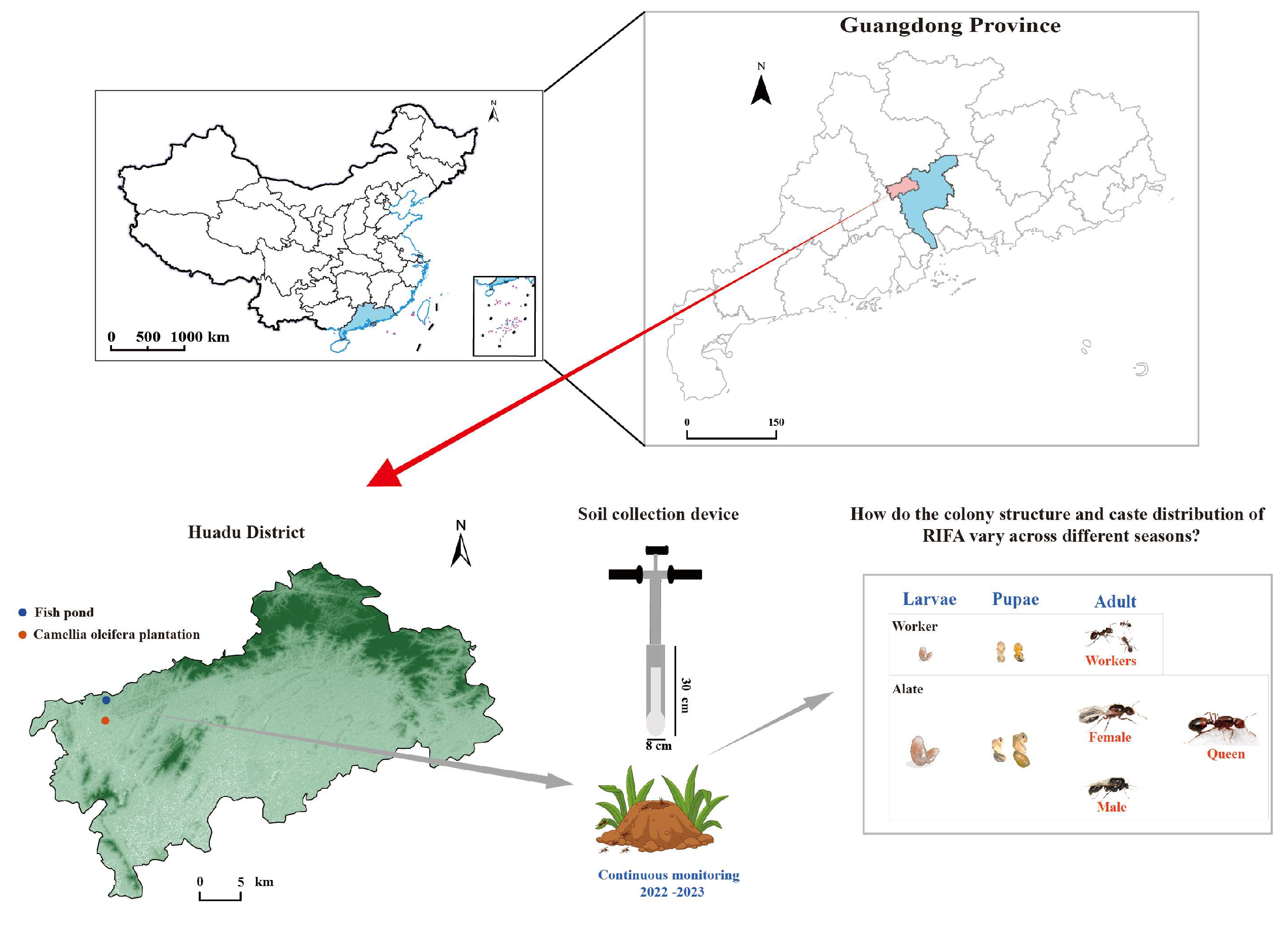 Animals 15 01483 g001