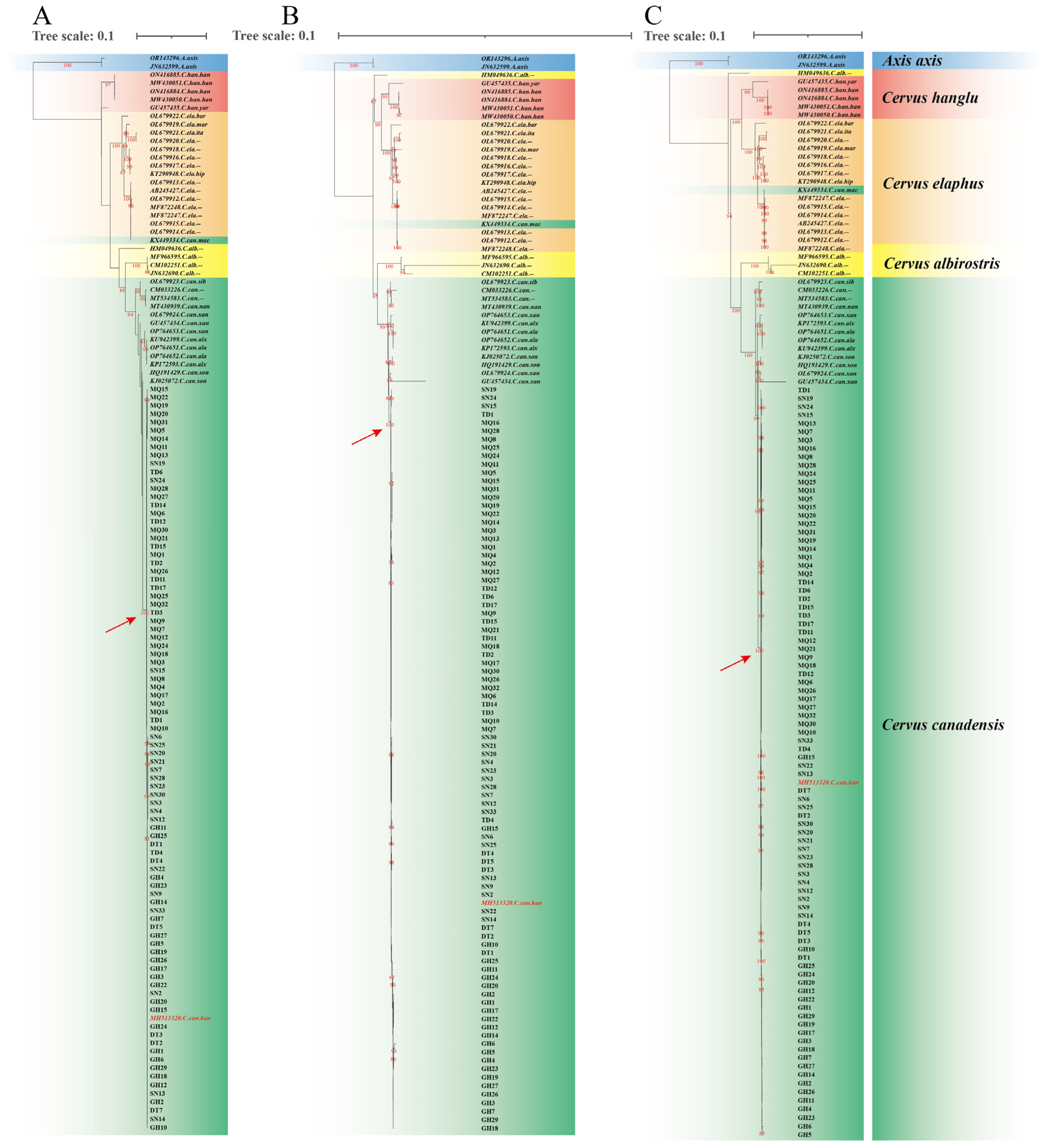 Animals 15 01486 g002