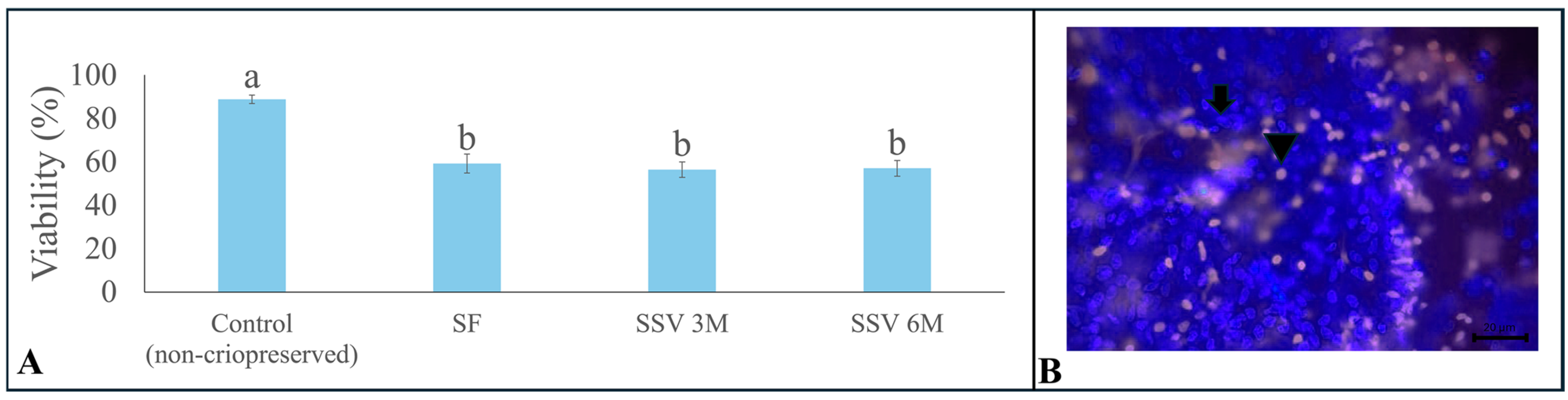 Animals 15 01488 g004 Animals 15 01488 g004