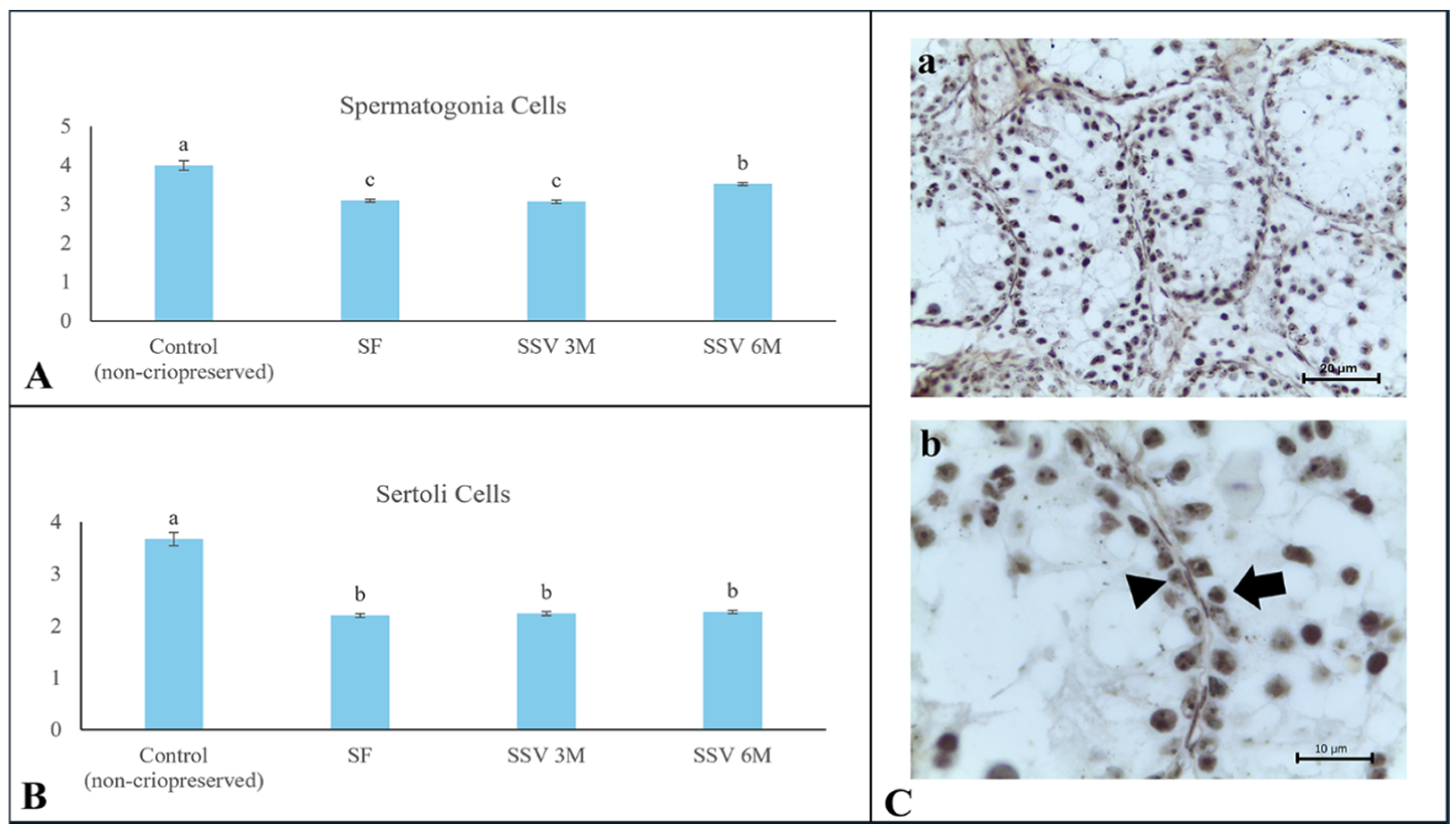 Animals 15 01488 g005 Animals 15 01488 g005