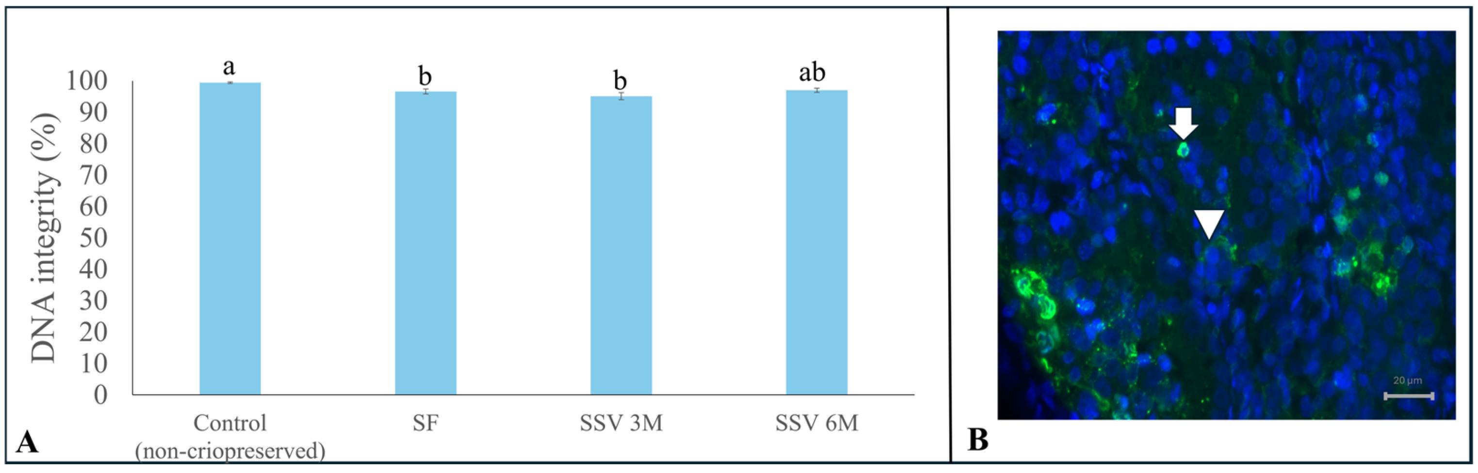 Animals 15 01488 g006 Animals 15 01488 g006