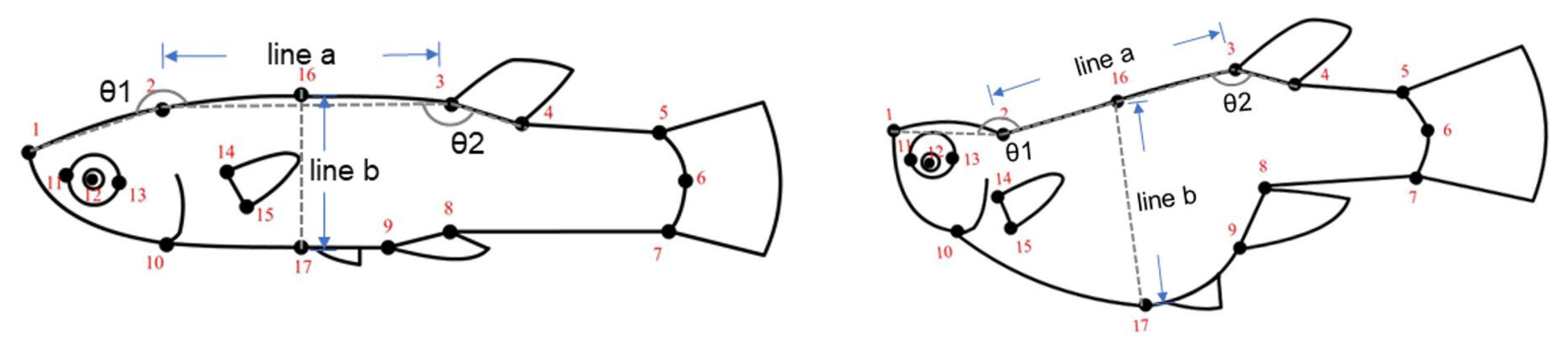 Animals 15 01489 g002 Animals 15 01489 g002