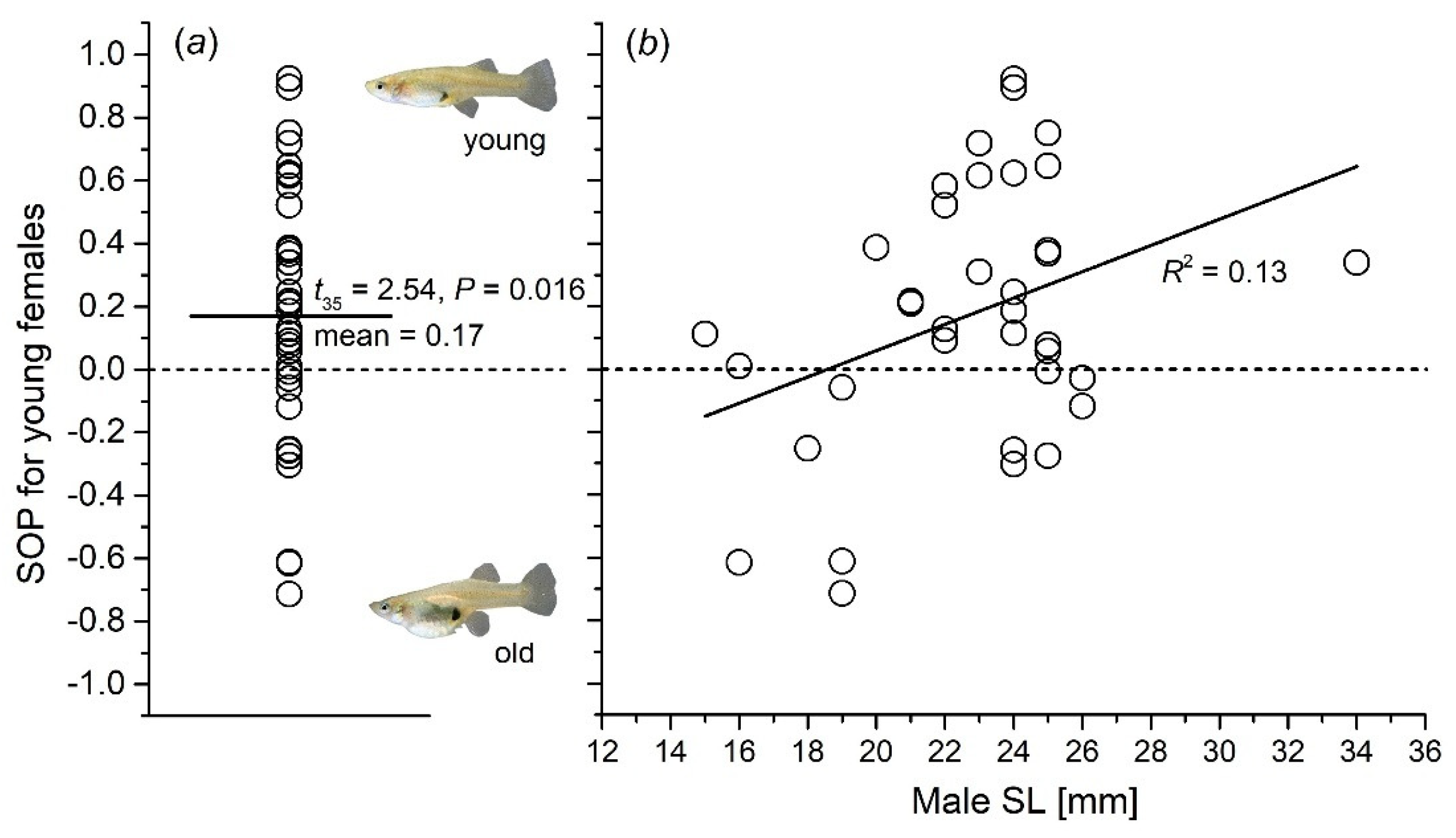 Animals 15 01489 g004 Animals 15 01489 g004
