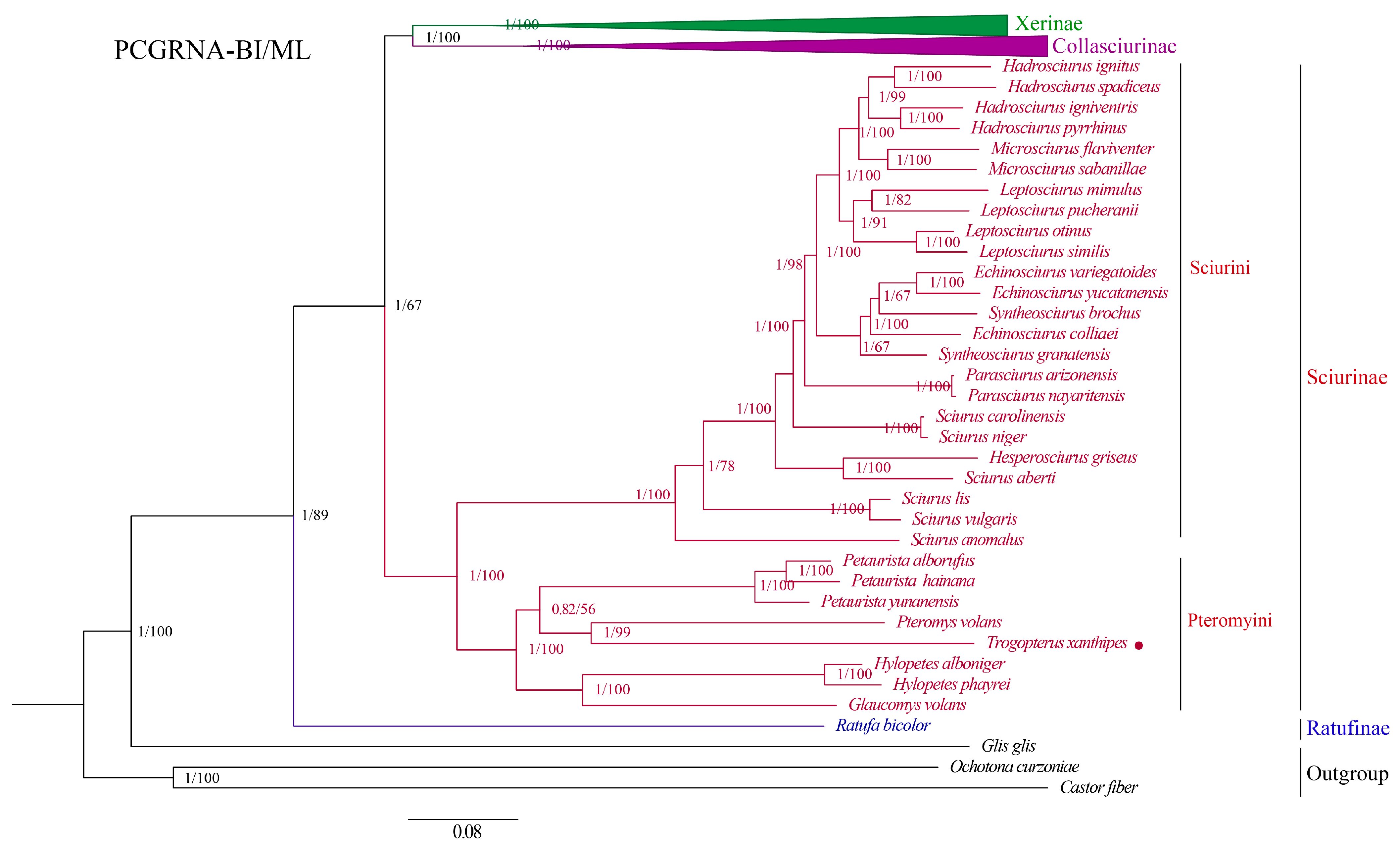 Animals 15 01493 g005