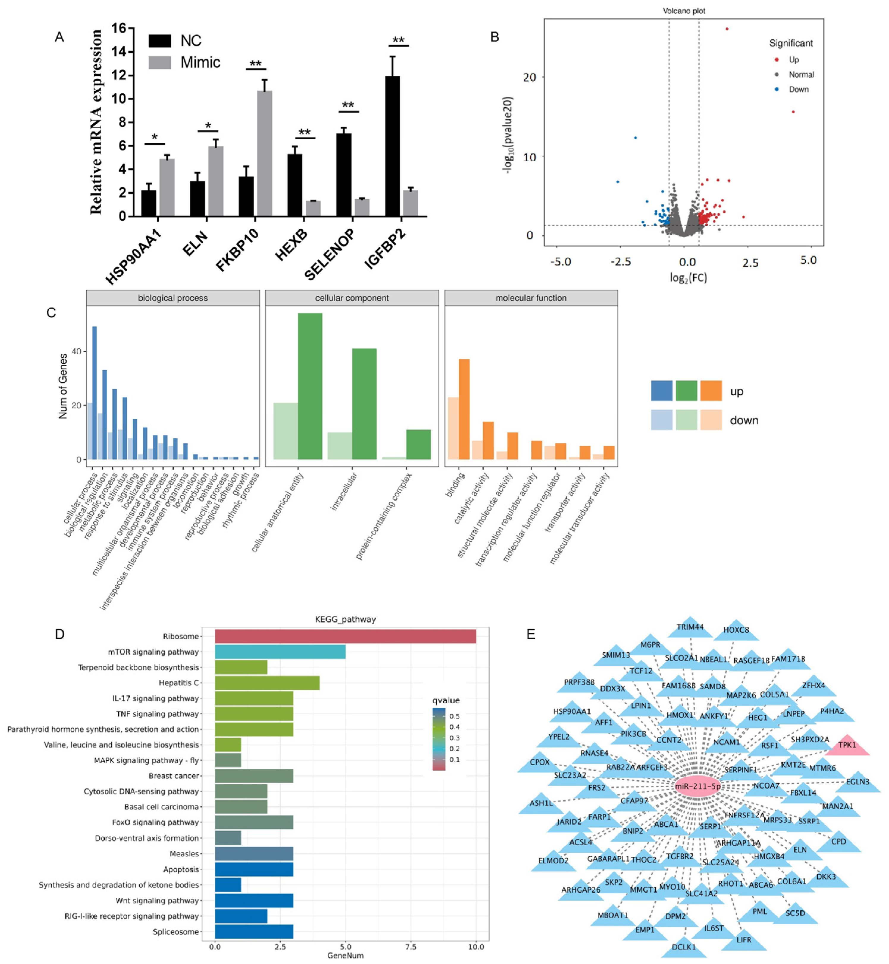 Animals 15 01497 g003