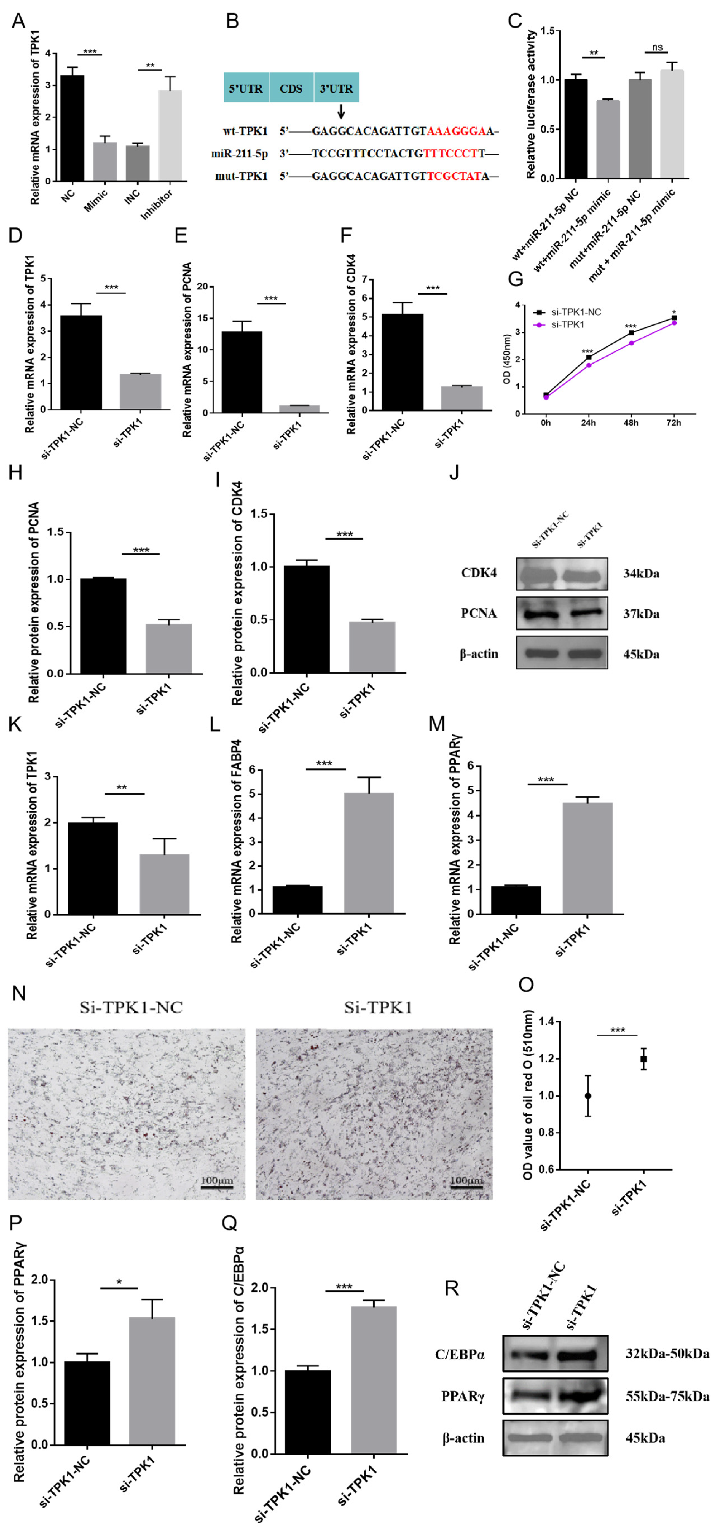 Animals 15 01497 g004