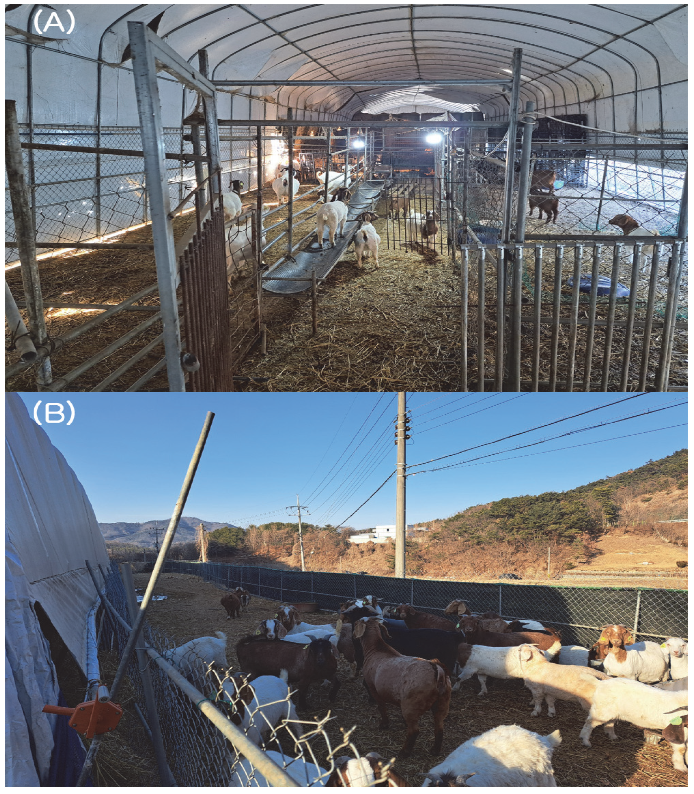 Animals 15 01498 g001