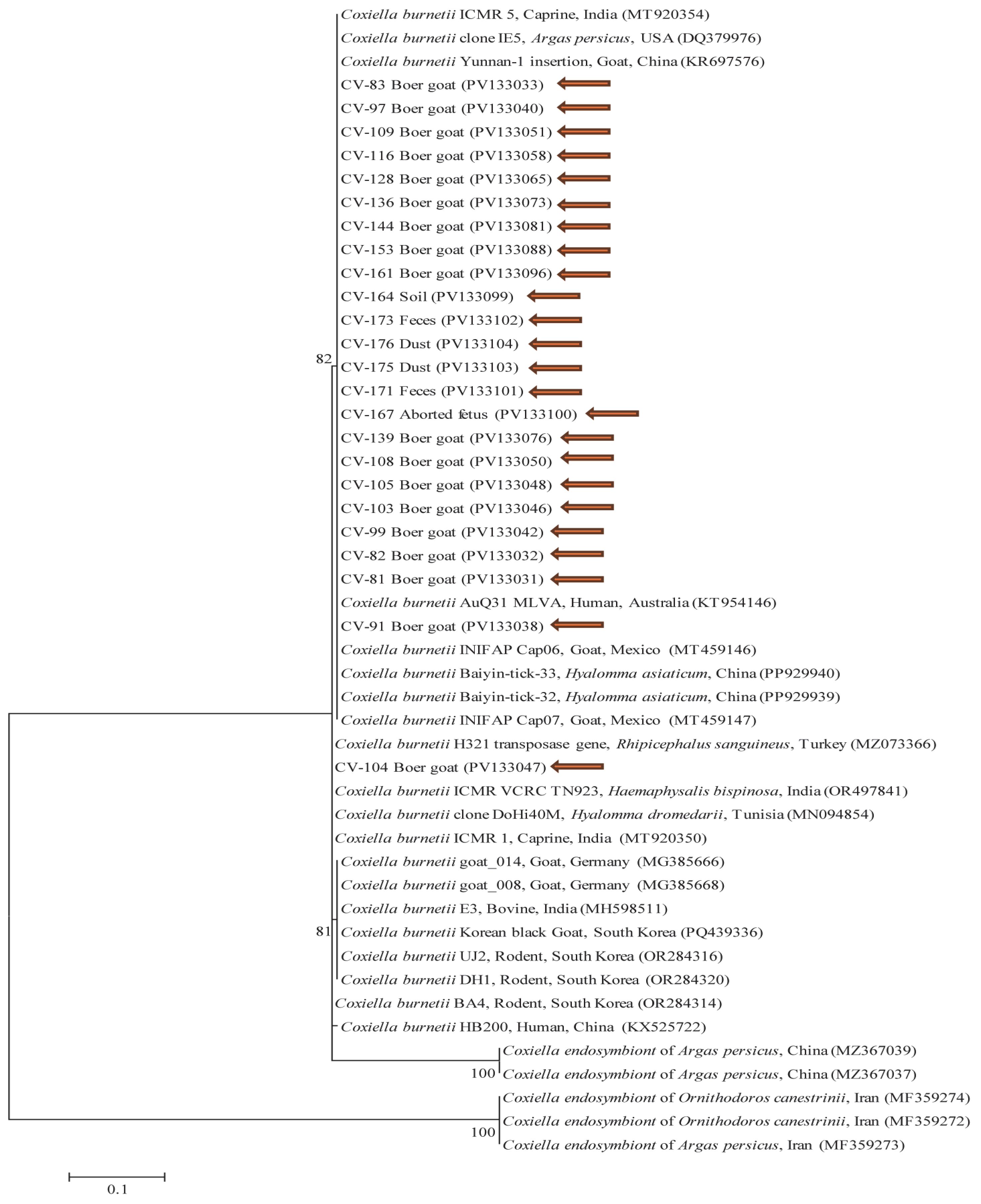Animals 15 01498 g003