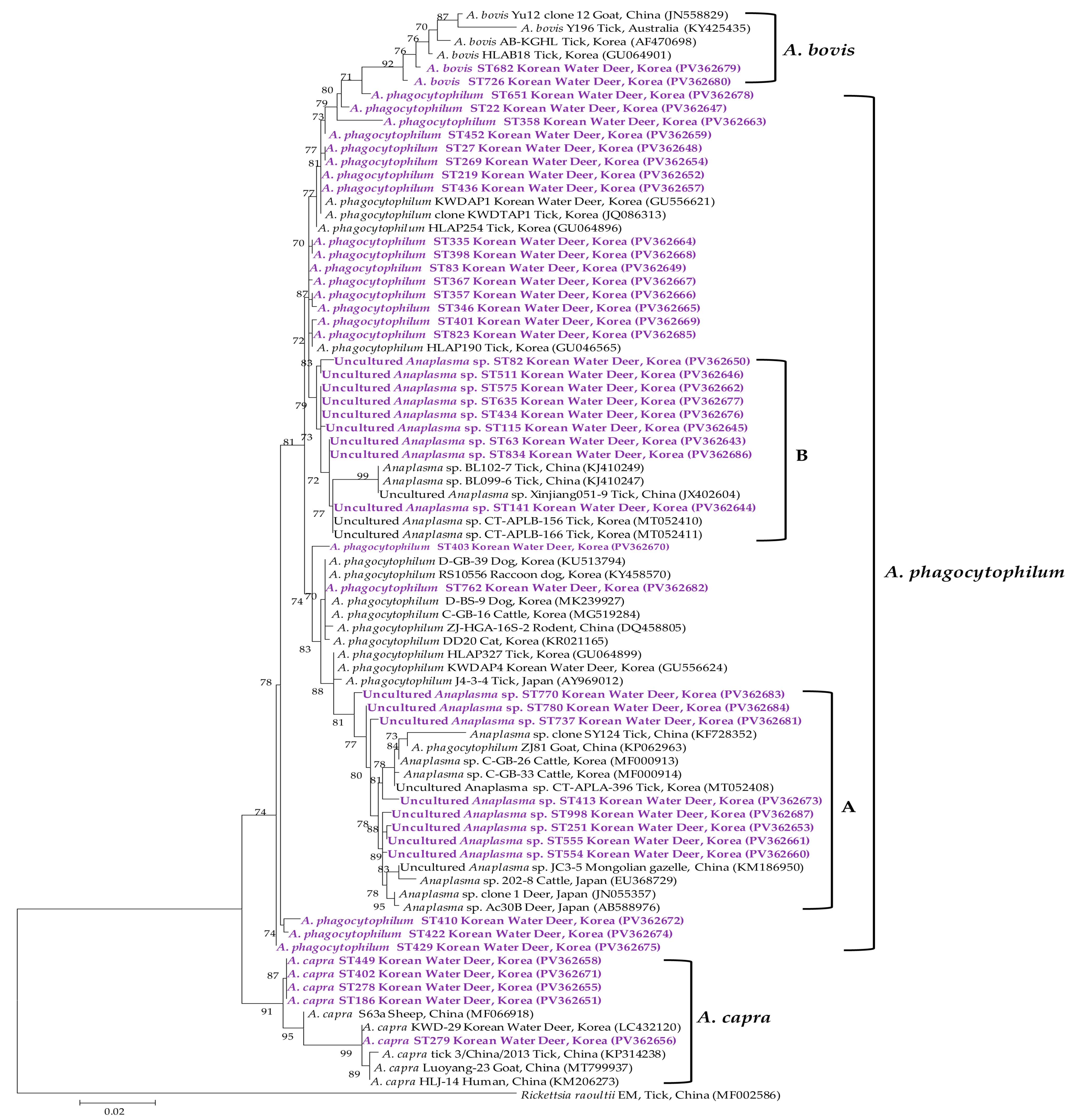 Animals 15 01499 g004