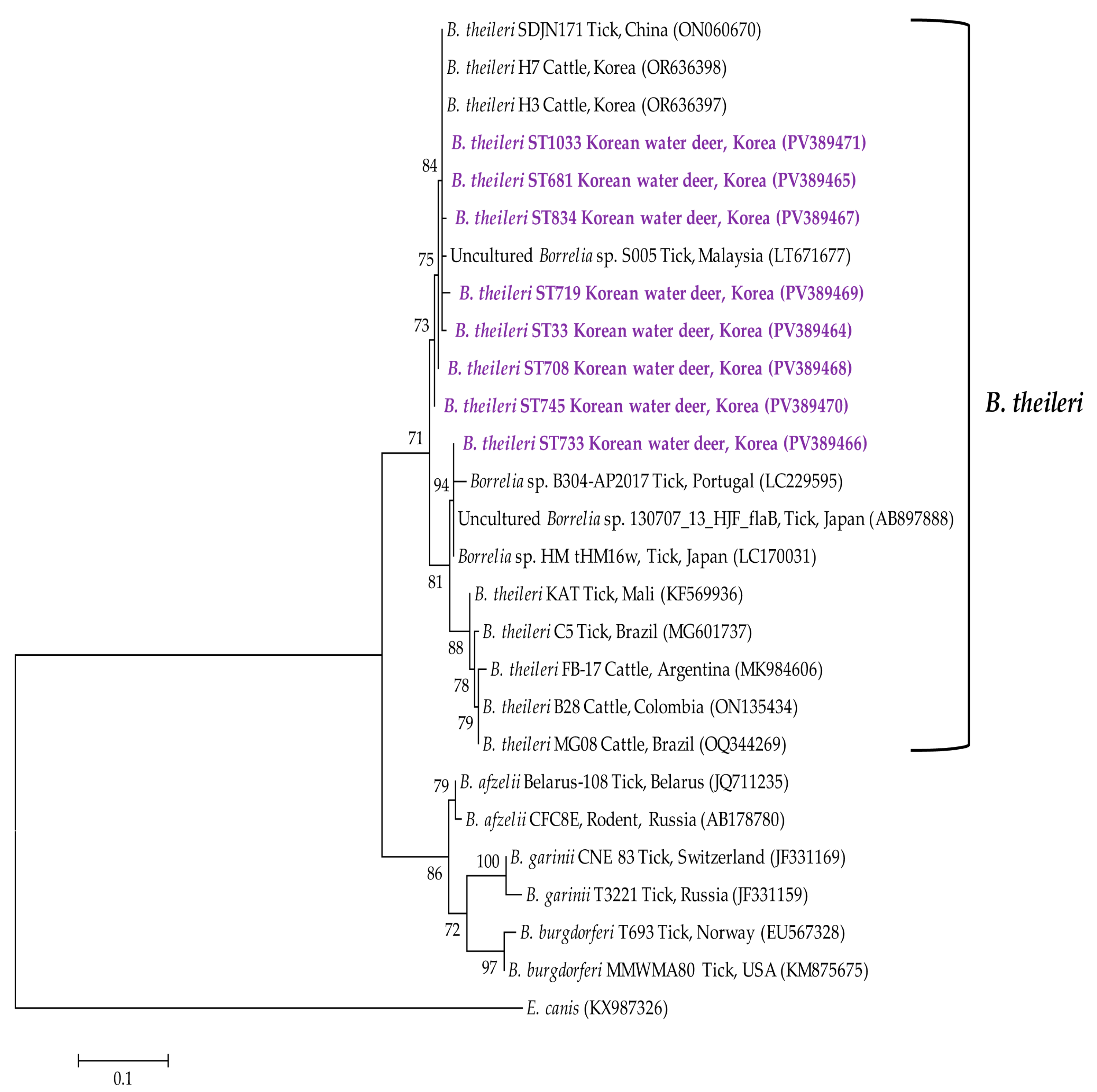 Animals 15 01499 g005