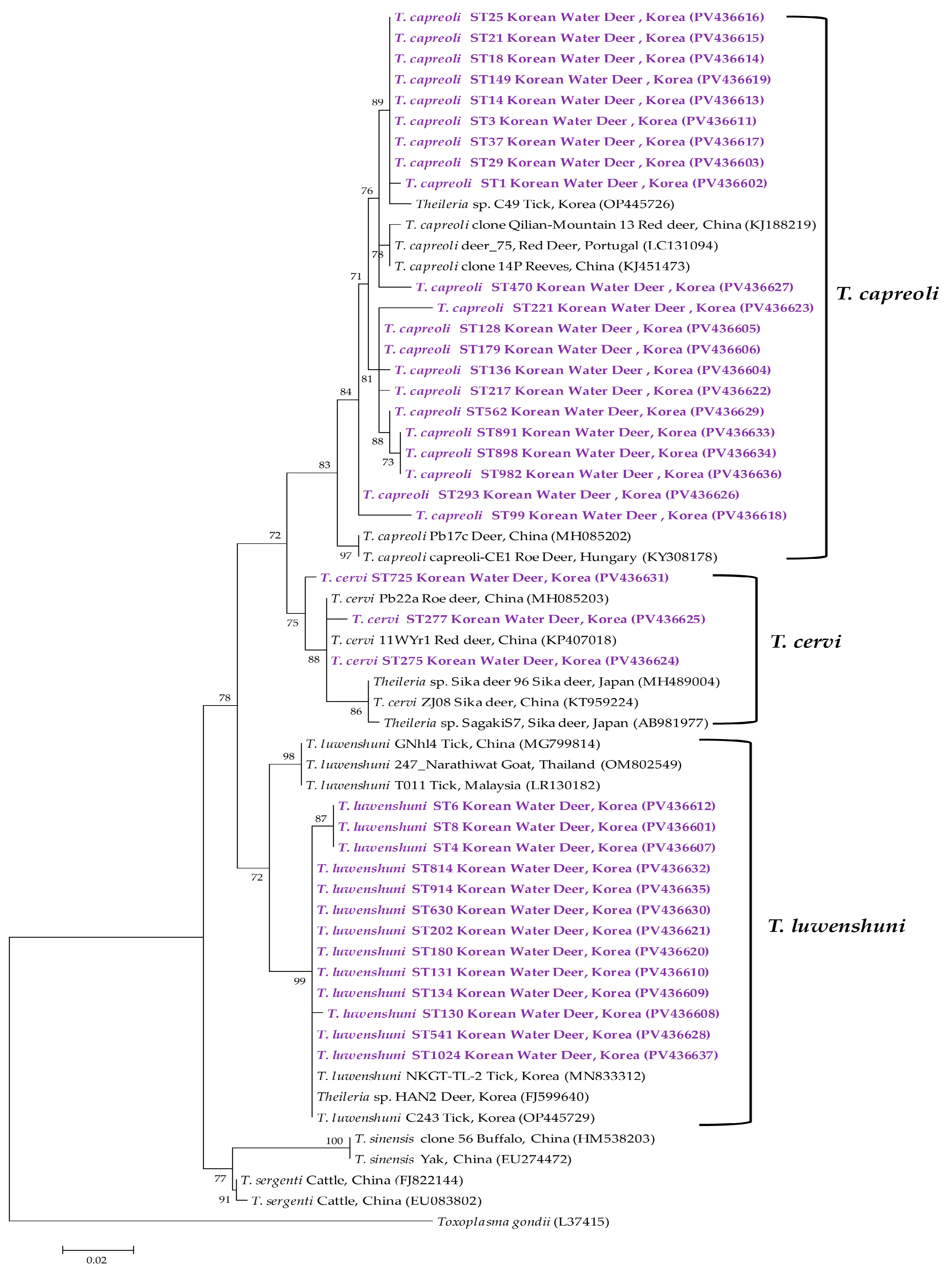 Animals 15 01499 g006