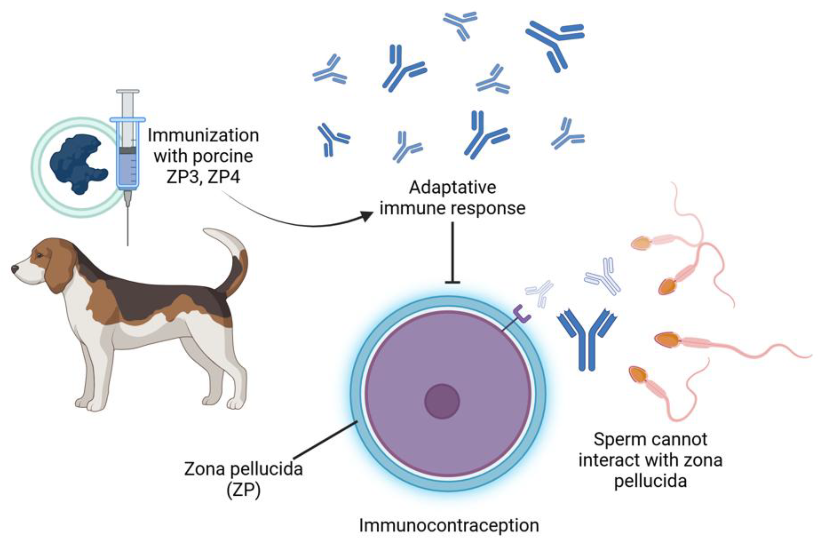 Animals 15 01501 g002 Animals 15 01501 g002