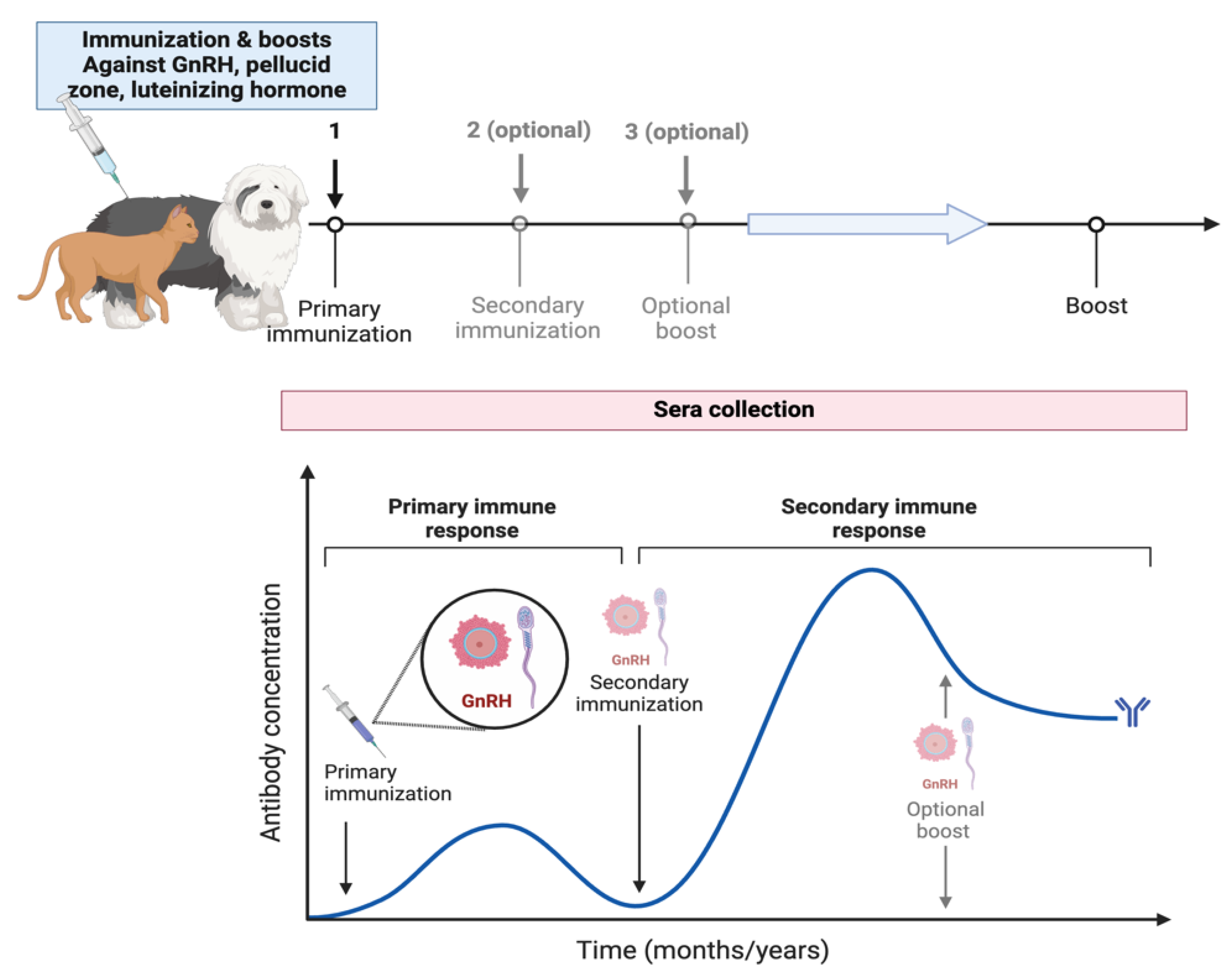 Animals 15 01501 g003 Animals 15 01501 g003